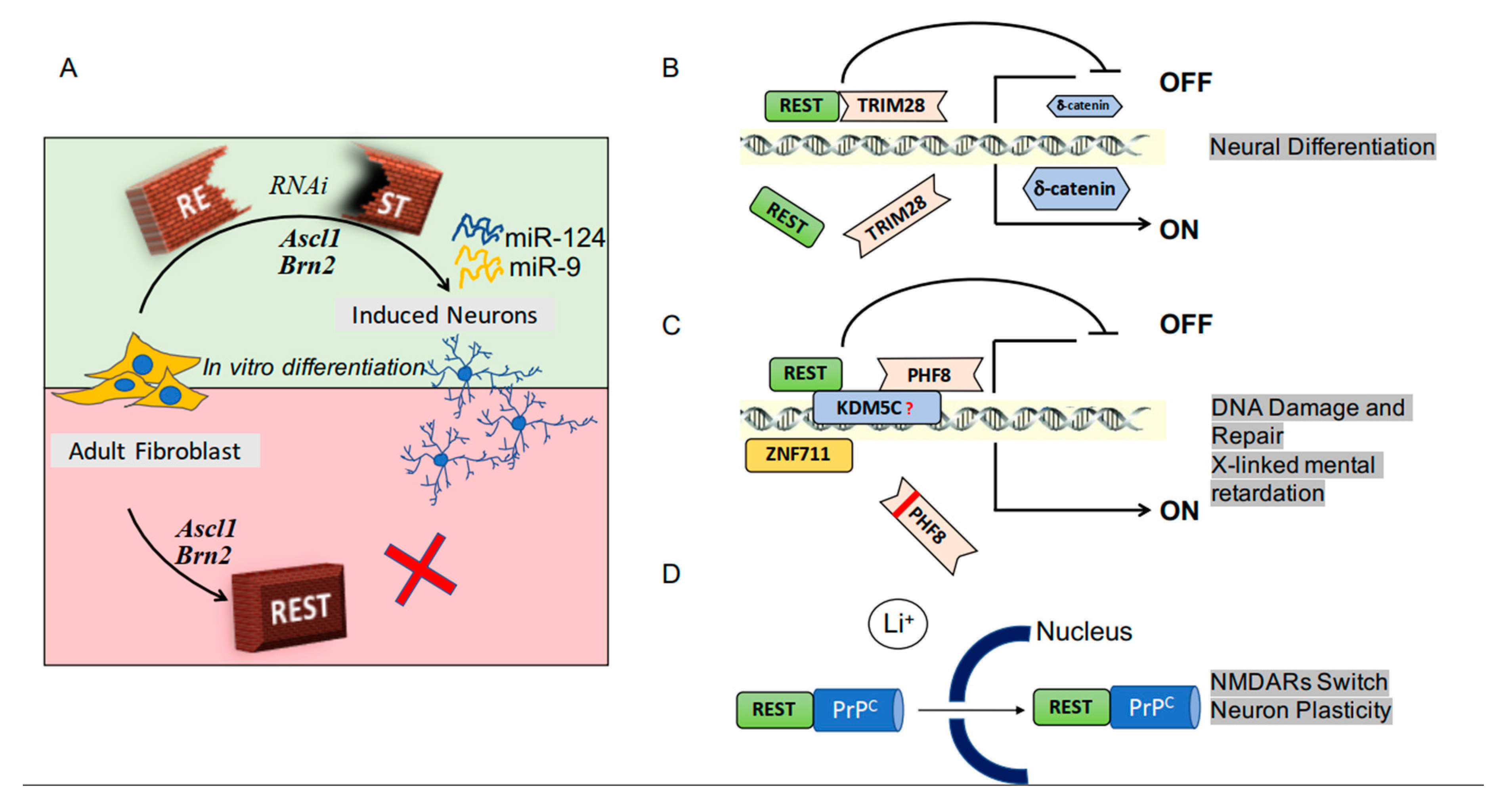 Ijms 21 00235 g001 Ijms 21 00235 g001