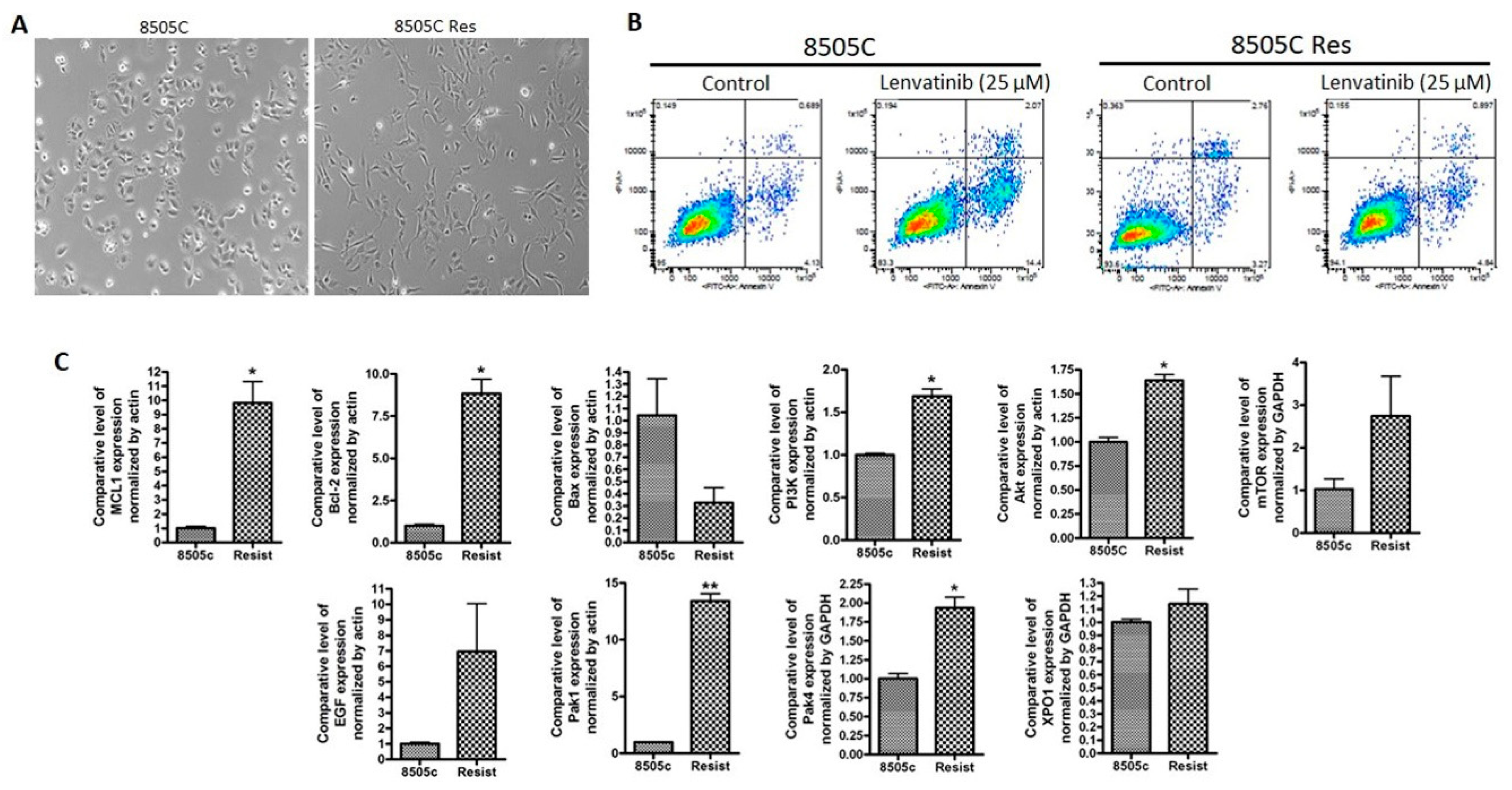 Ijms 21 00237 g001 Ijms 21 00237 g001