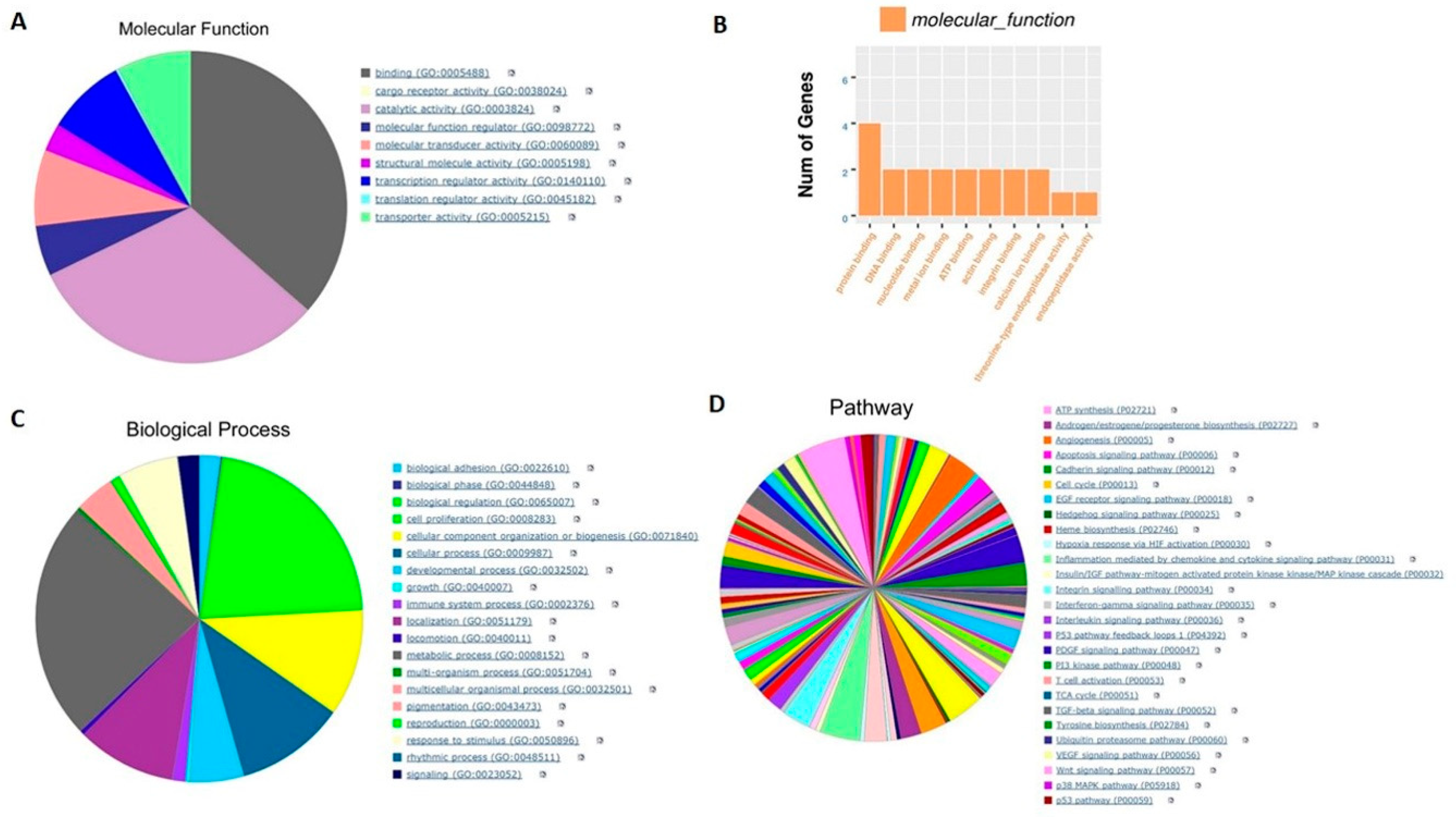 Ijms 21 00237 g003 Ijms 21 00237 g003