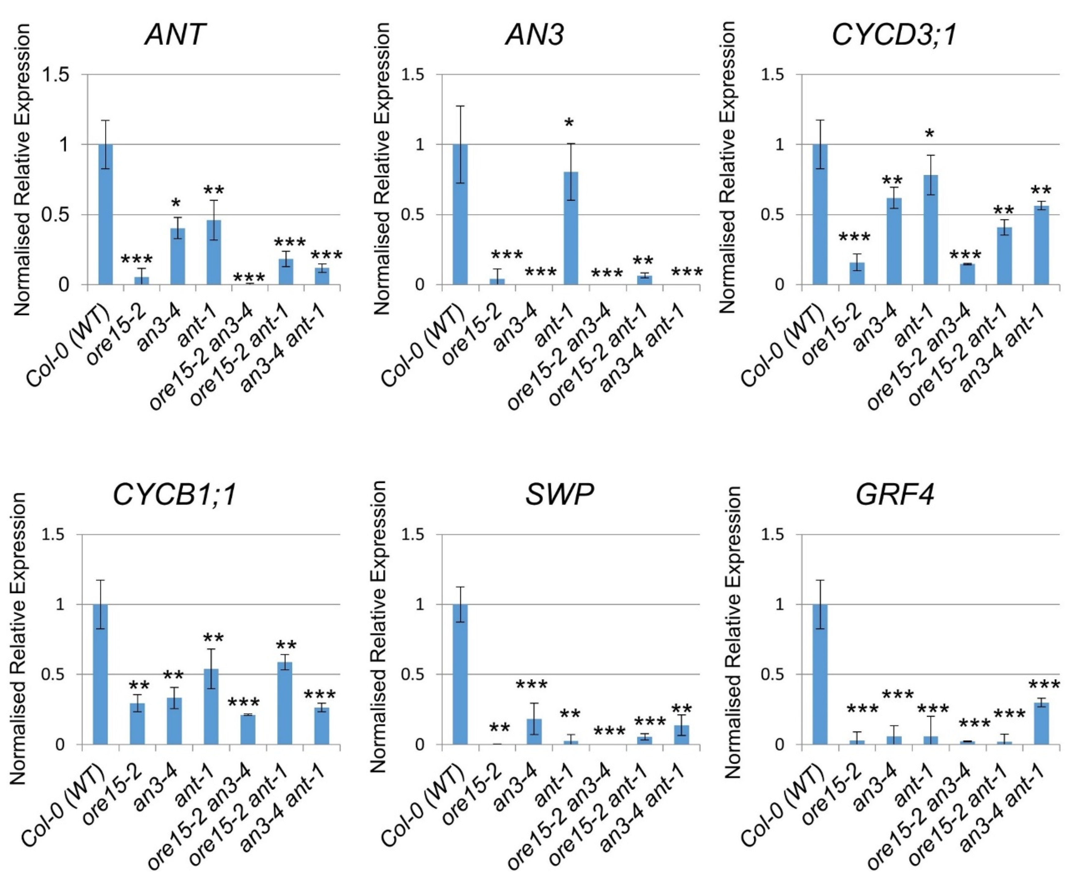 Ijms 21 00241 g005 Ijms 21 00241 g005