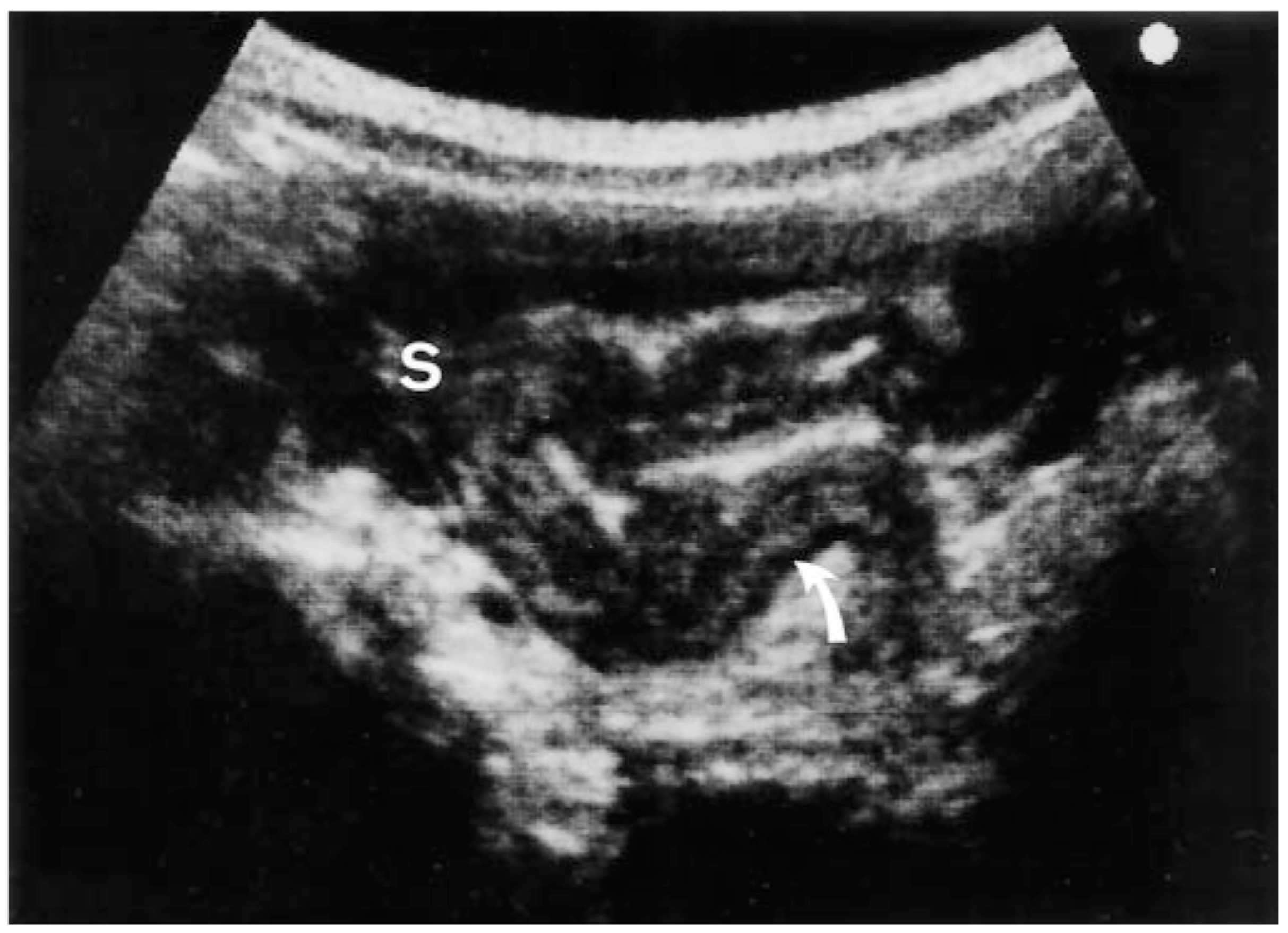 Ijms 21 00243 g002 Ijms 21 00243 g002