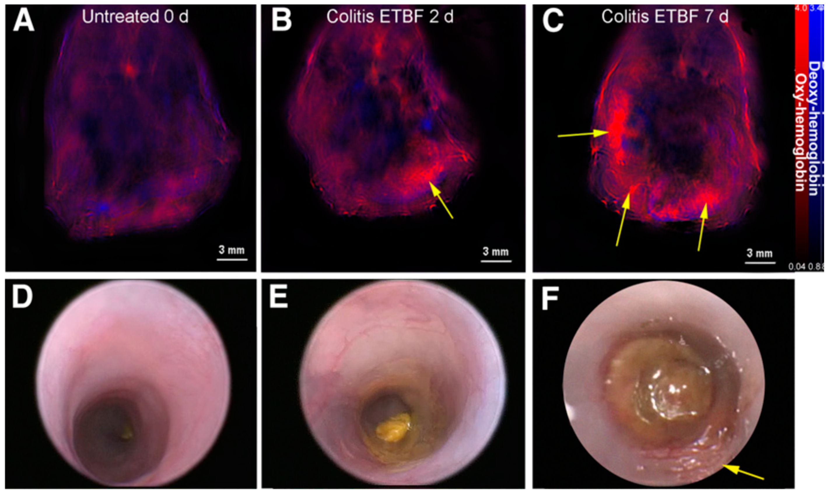 Ijms 21 00243 g004 Ijms 21 00243 g004