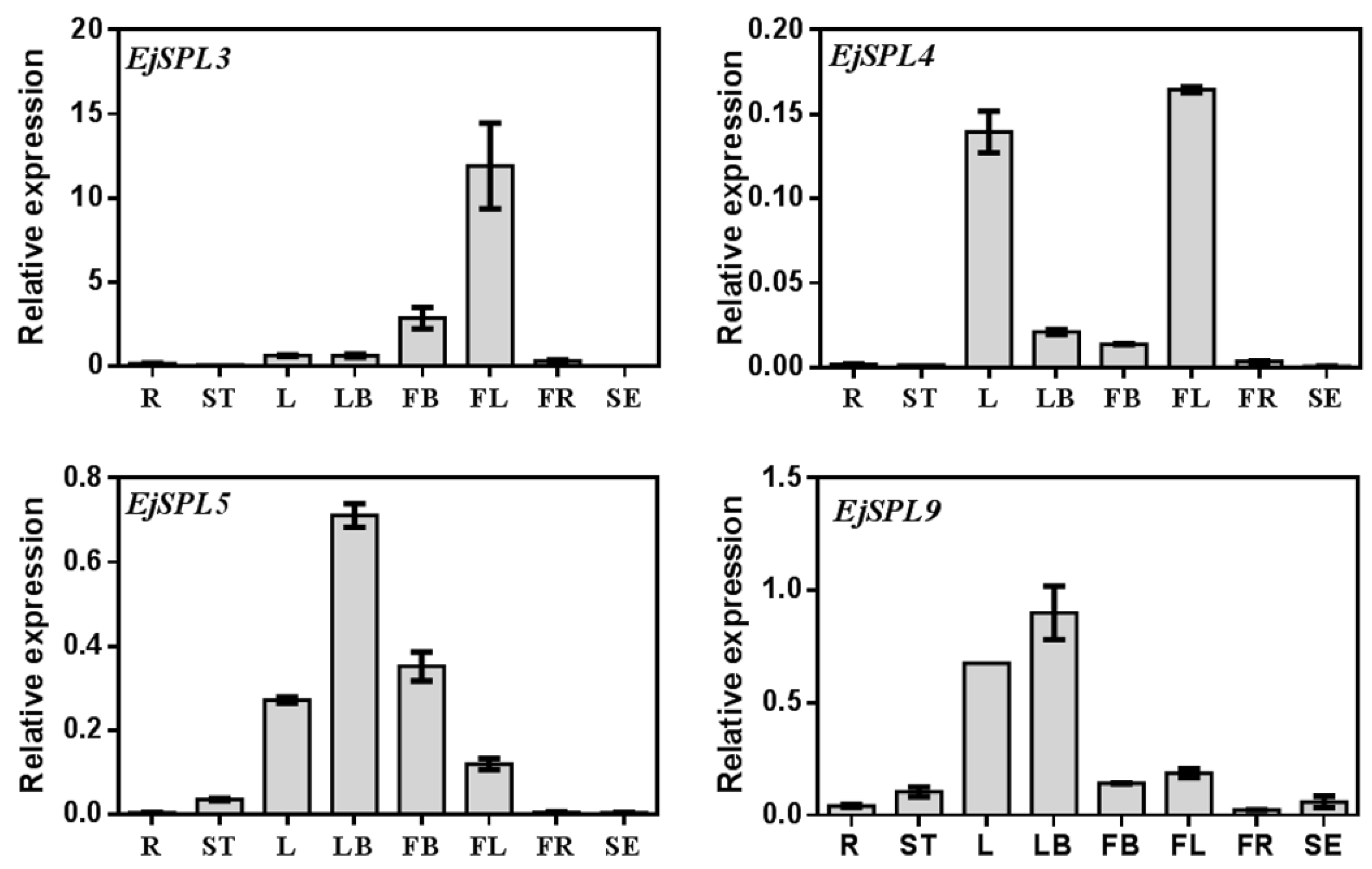 Ijms 21 00248 g003 Ijms 21 00248 g003