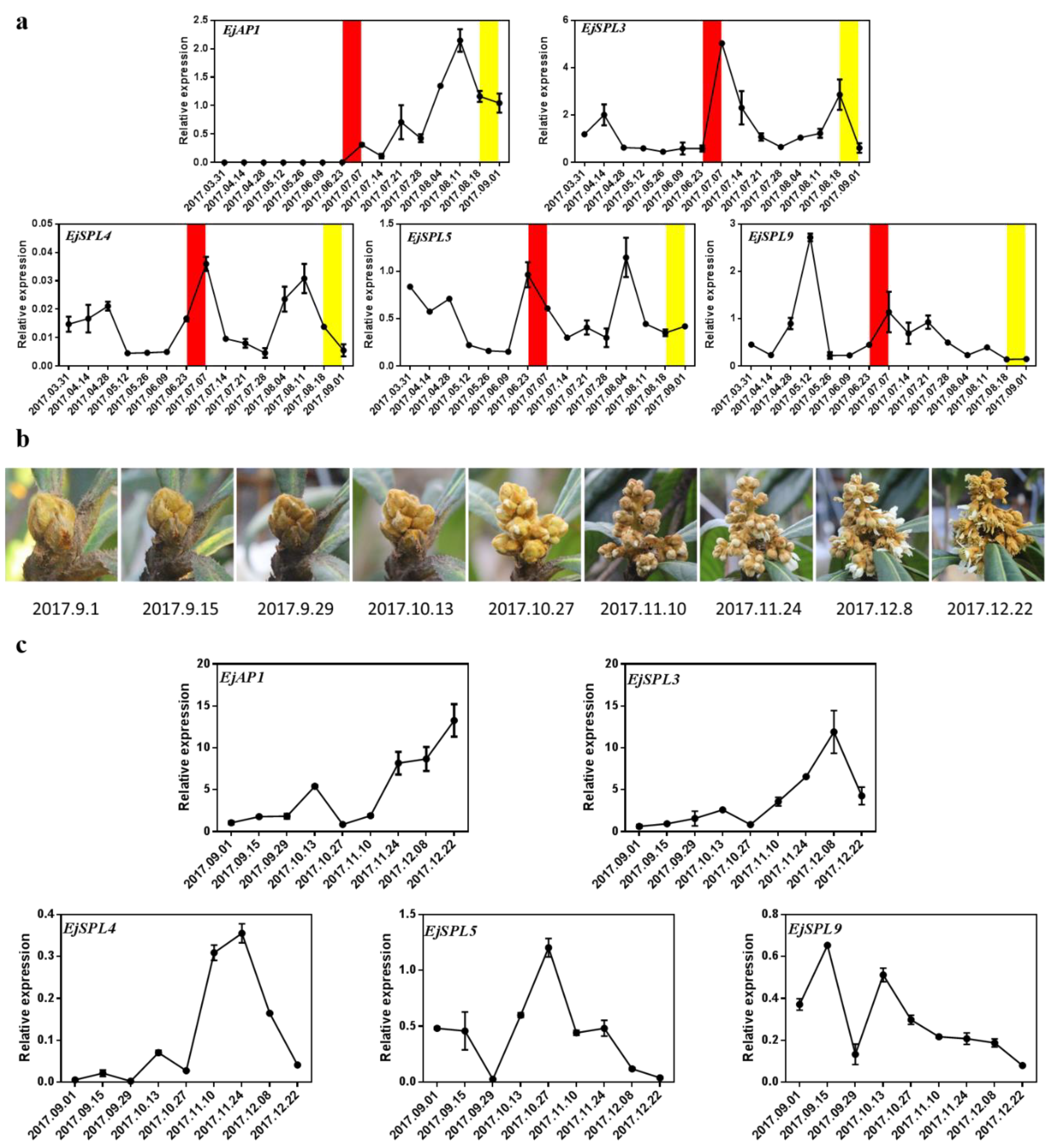 Ijms 21 00248 g005 Ijms 21 00248 g005