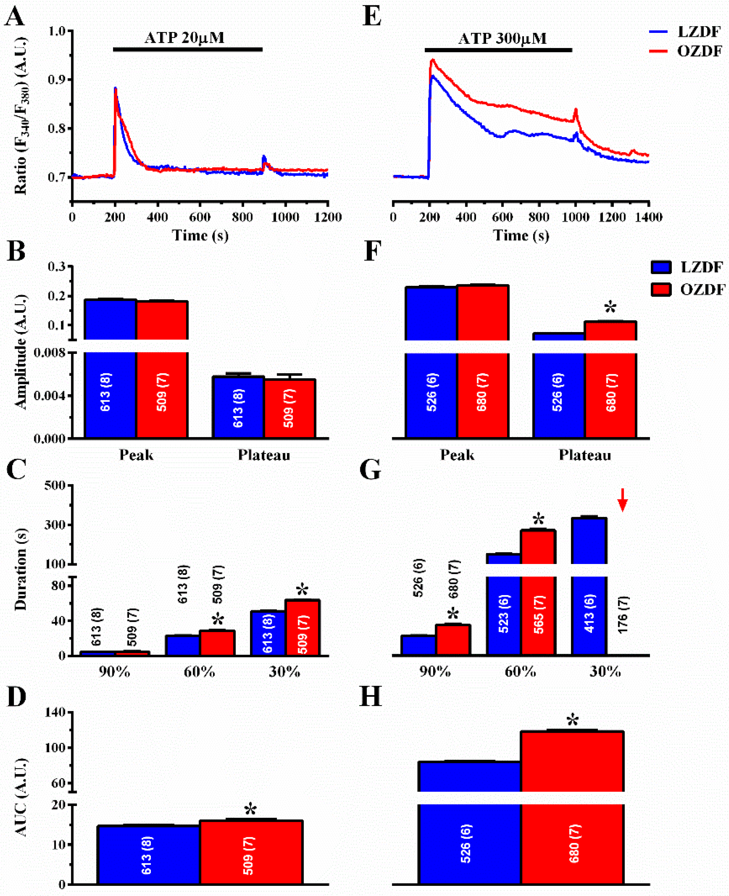 Ijms 21 00250 g003 Ijms 21 00250 g003