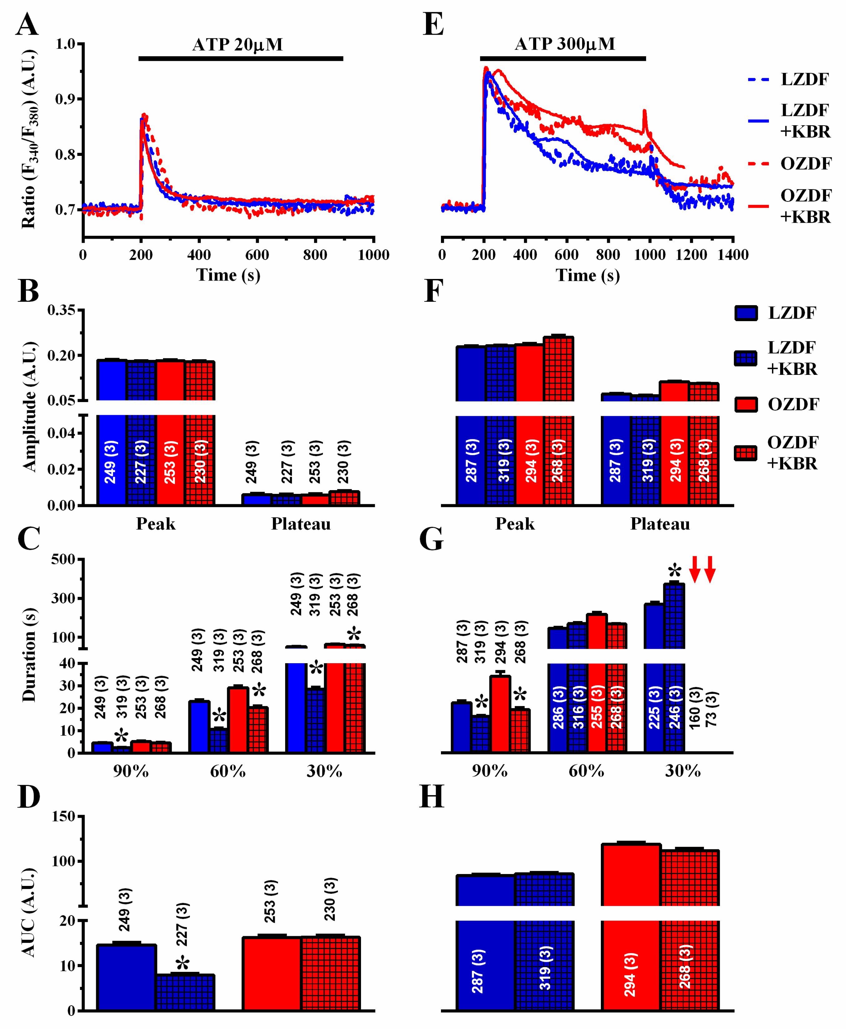 Ijms 21 00250 g009 Ijms 21 00250 g009