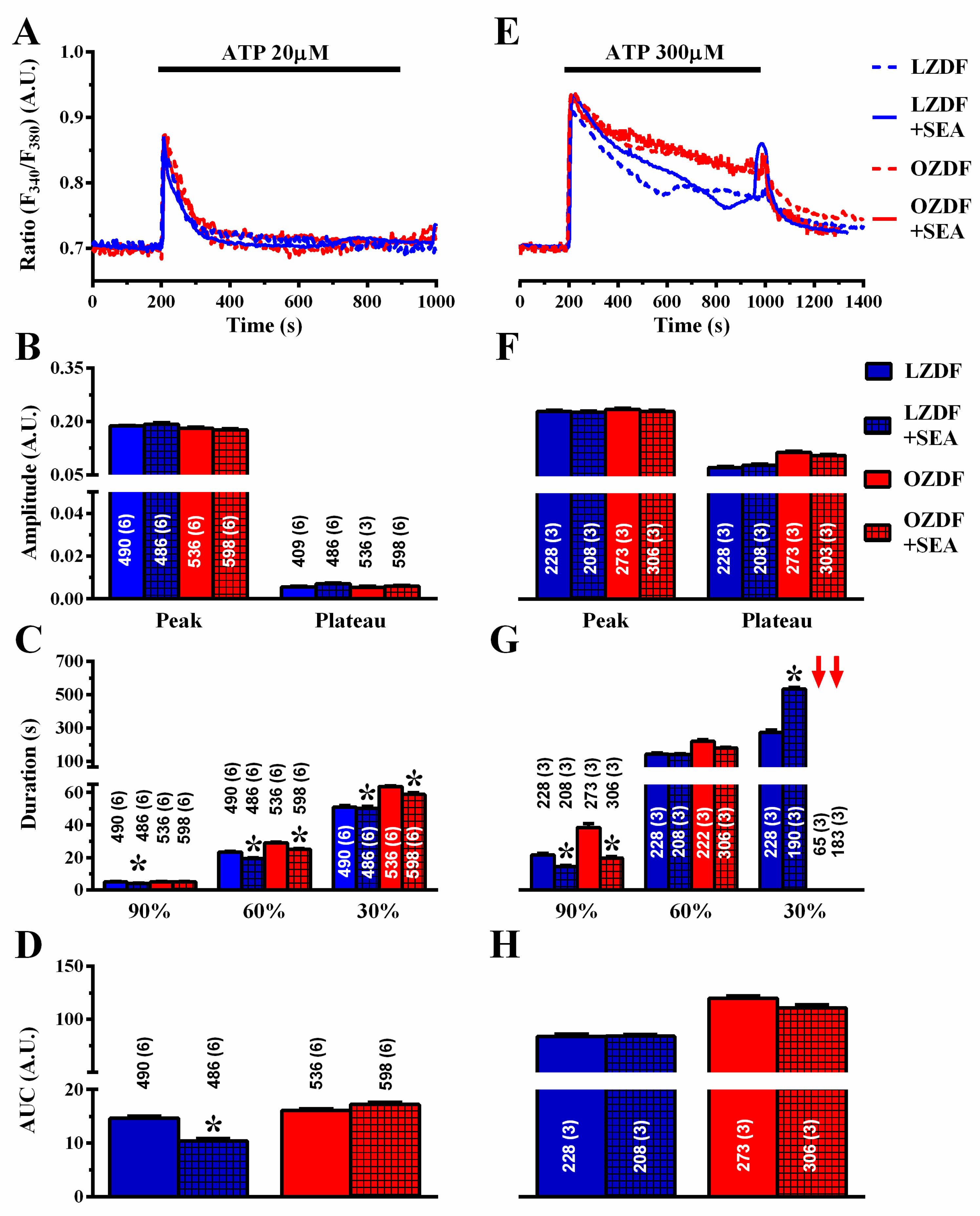 Ijms 21 00250 g010 Ijms 21 00250 g010