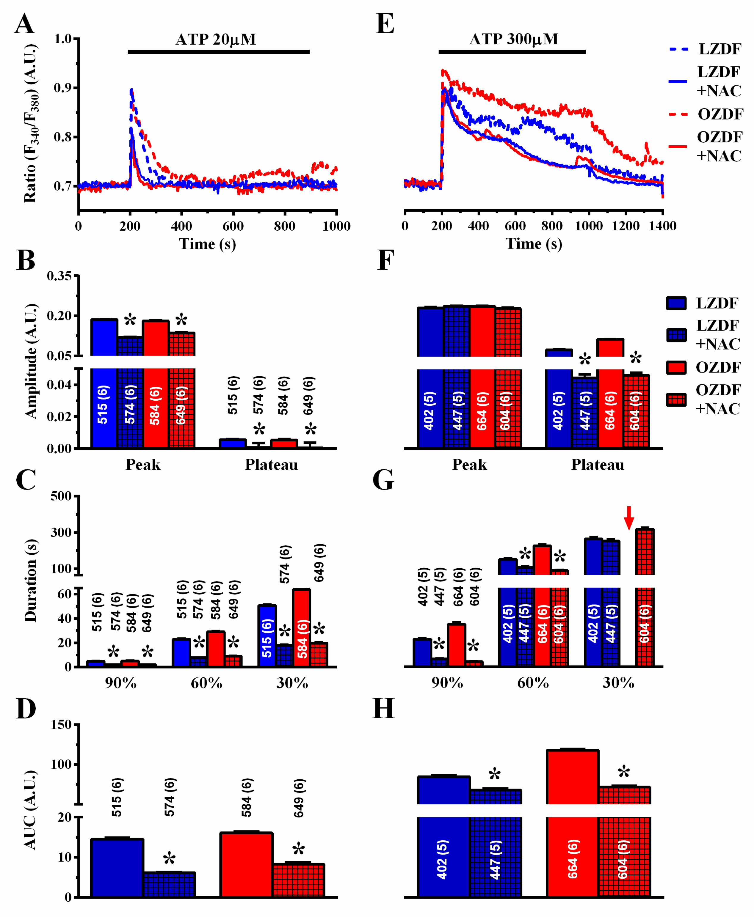 Ijms 21 00250 g012 Ijms 21 00250 g012