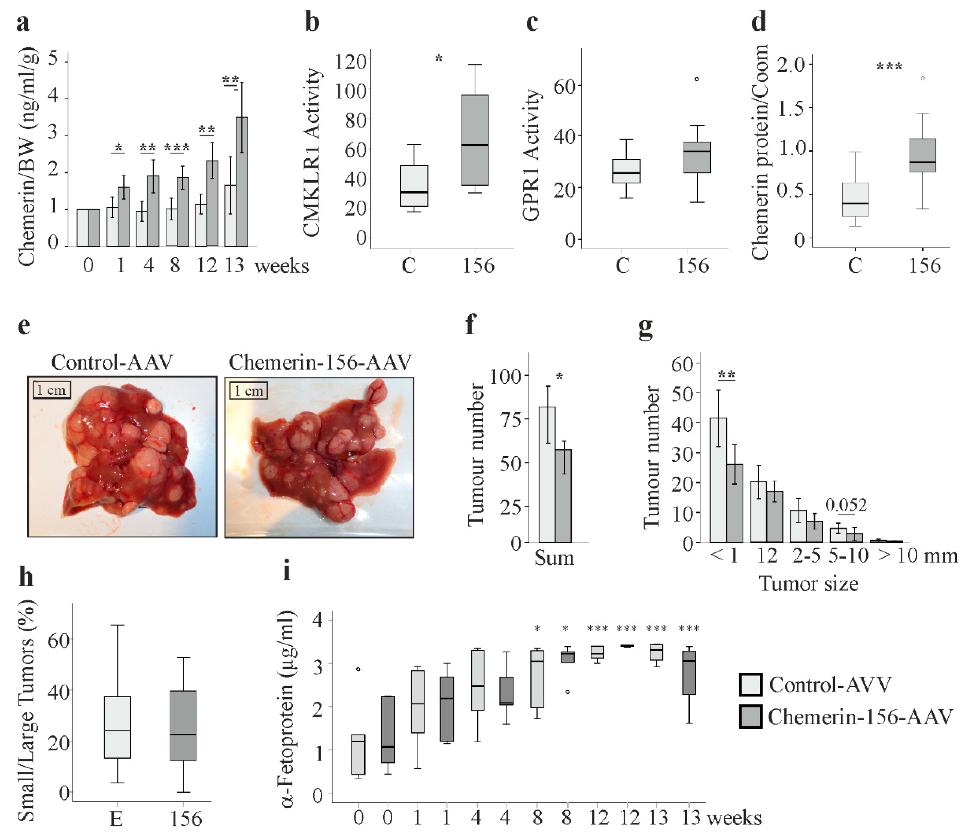 Ijms 21 00252 g002 Ijms 21 00252 g002