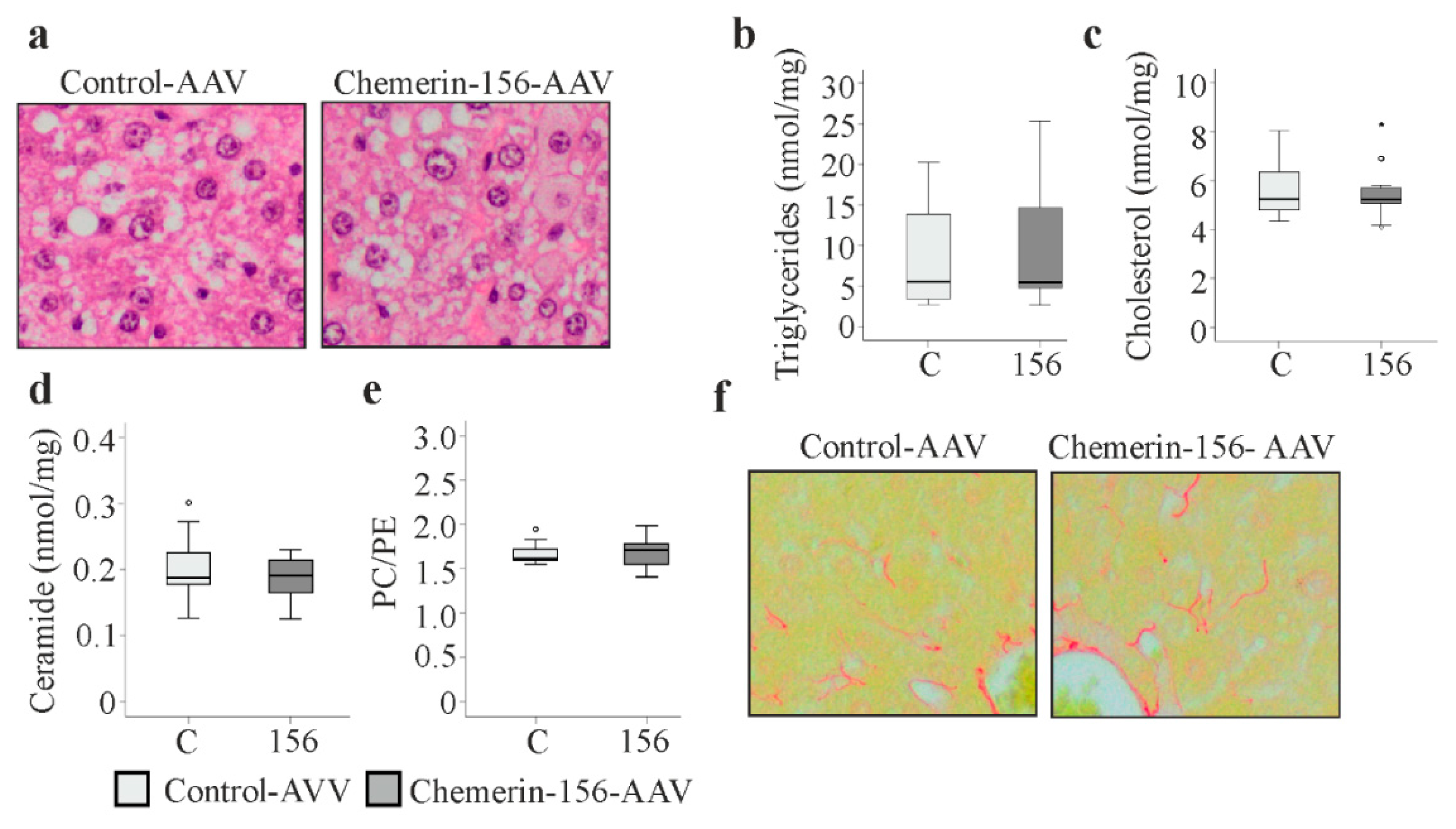 Ijms 21 00252 g003 Ijms 21 00252 g003