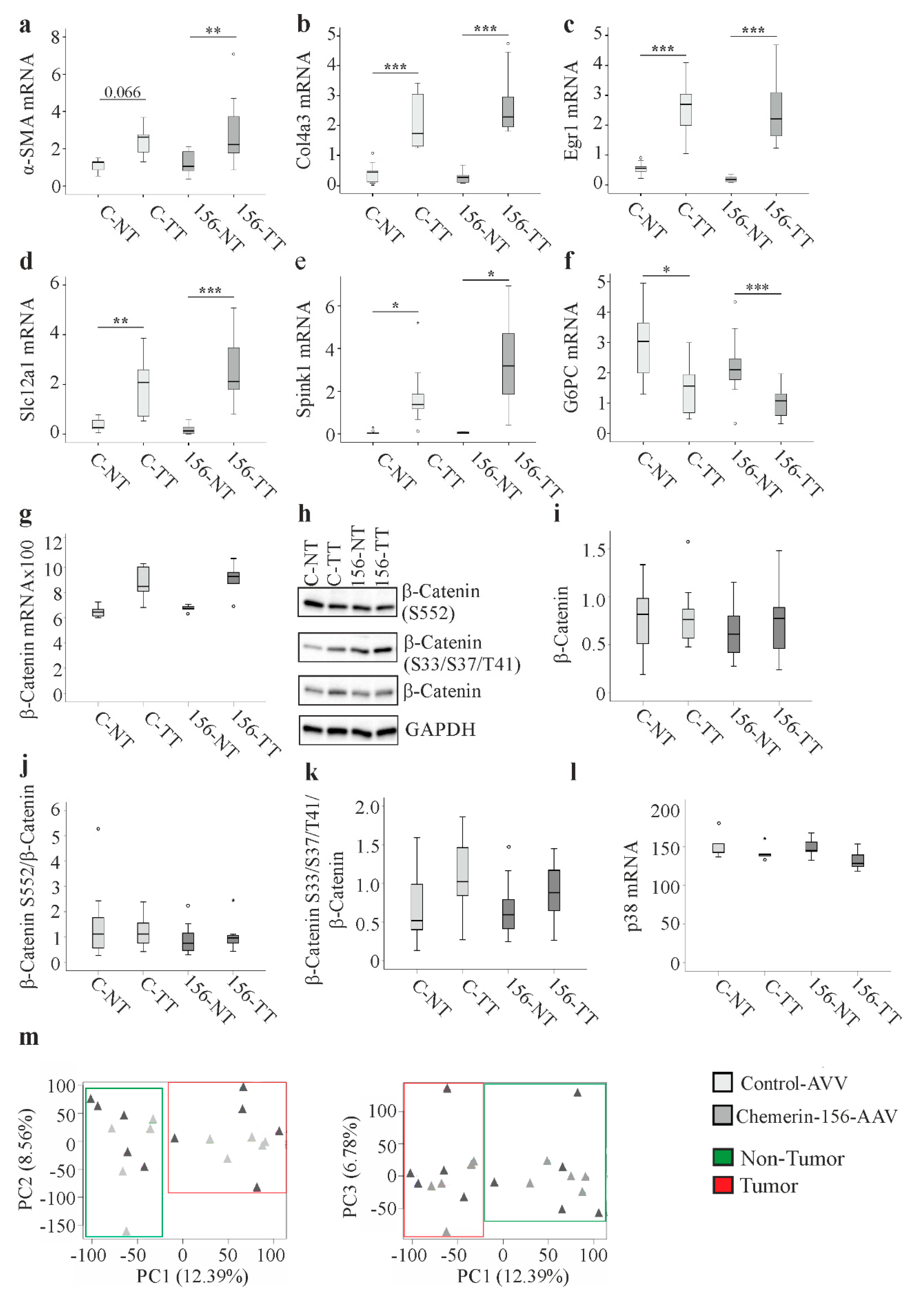 Ijms 21 00252 g004 Ijms 21 00252 g004
