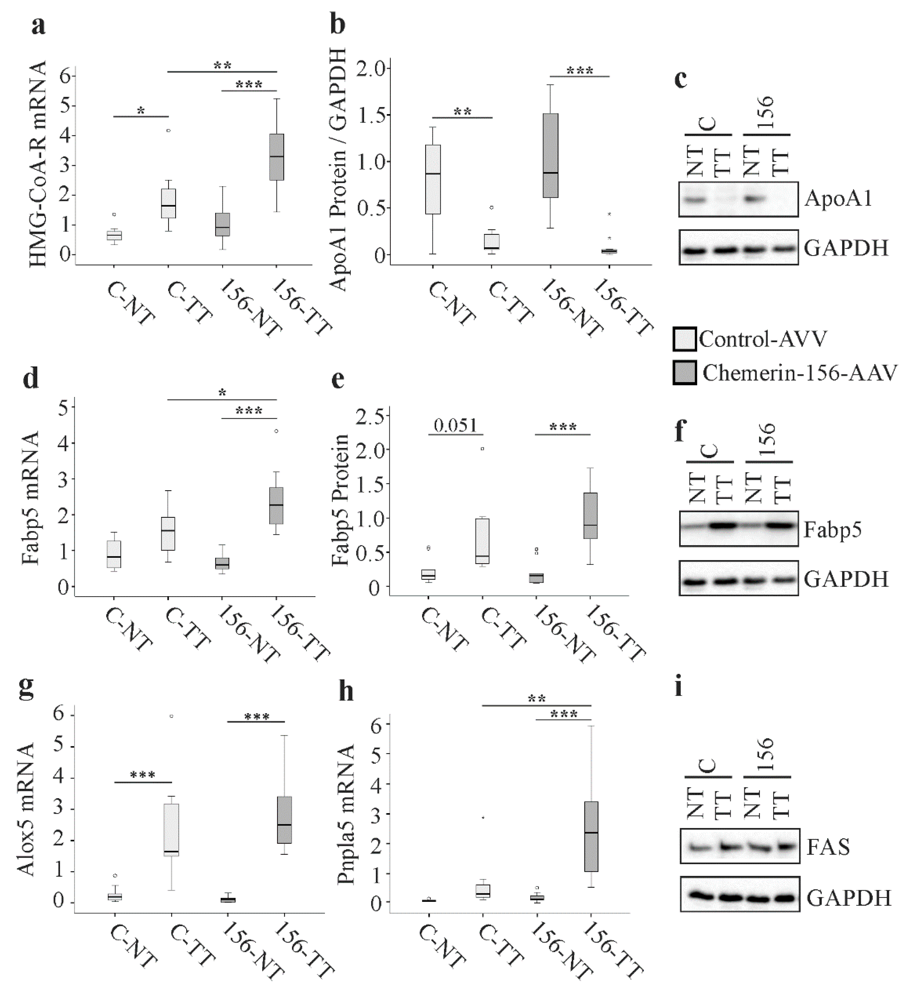 Ijms 21 00252 g005 Ijms 21 00252 g005