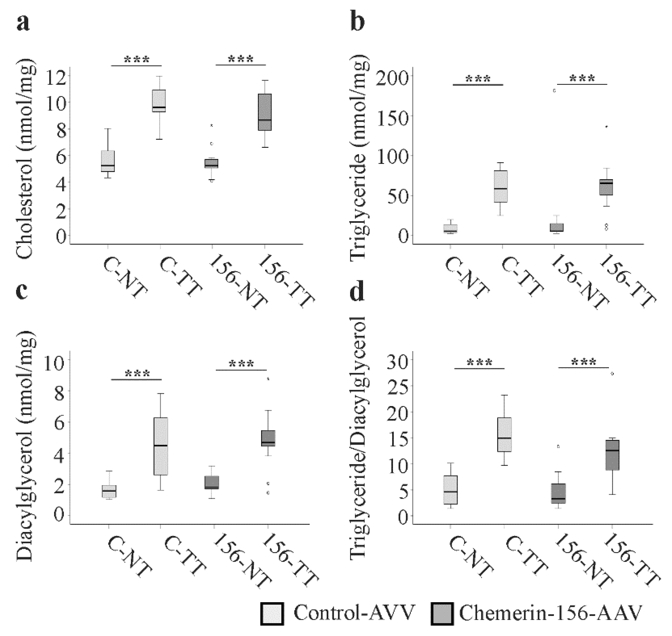 Ijms 21 00252 g006 Ijms 21 00252 g006