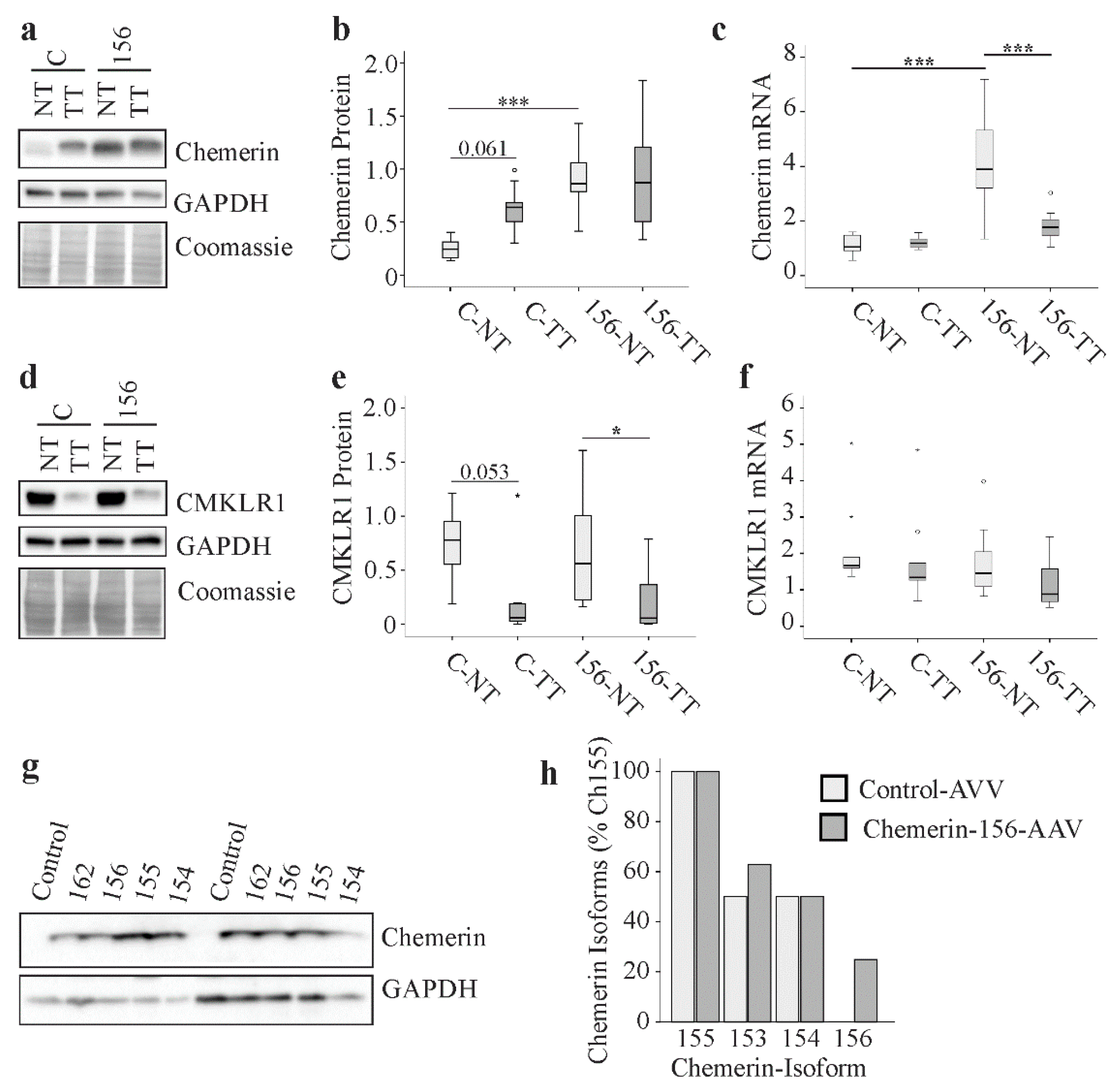 Ijms 21 00252 g007 Ijms 21 00252 g007