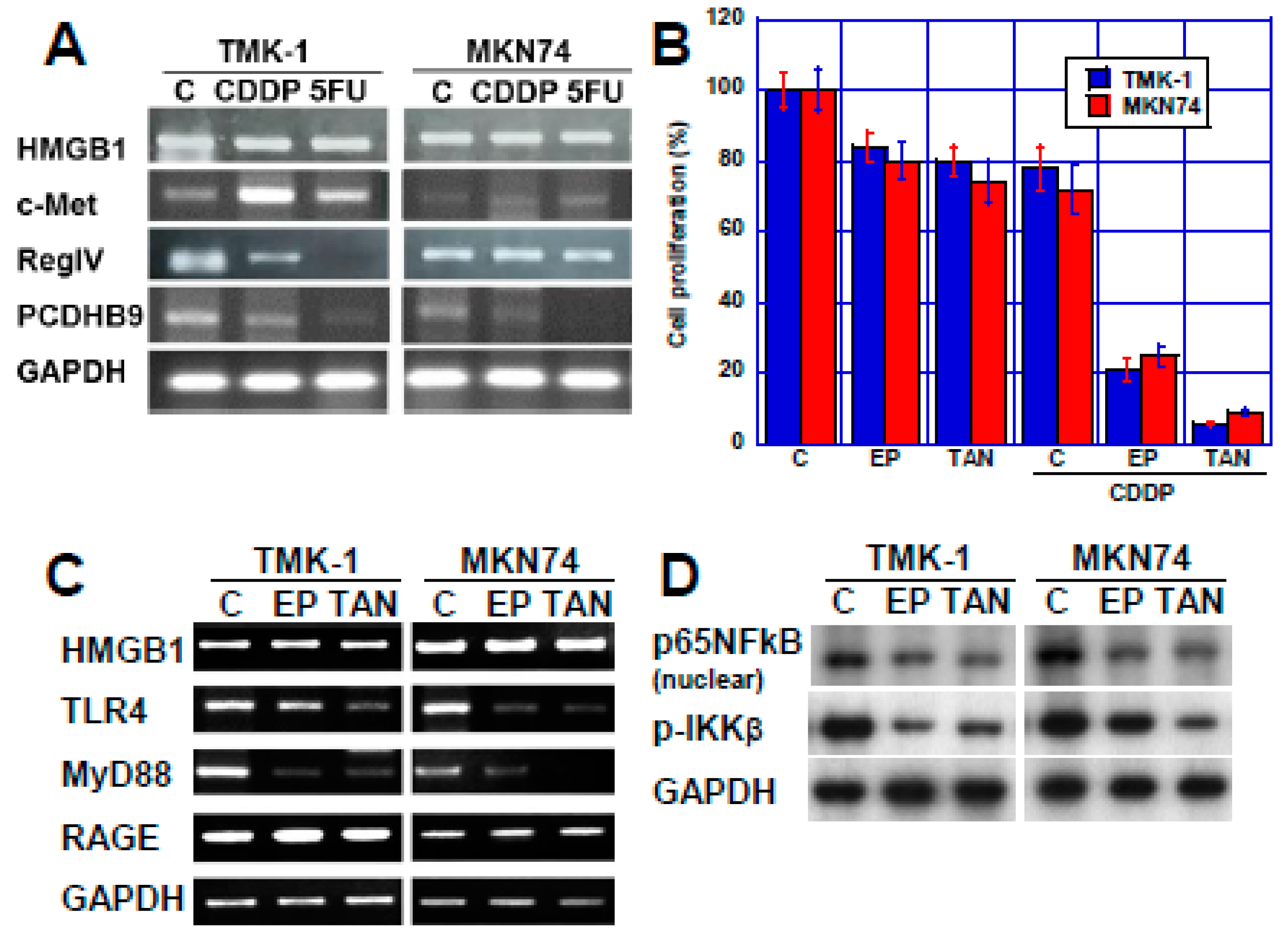 Ijms 21 00254 g003 Ijms 21 00254 g003