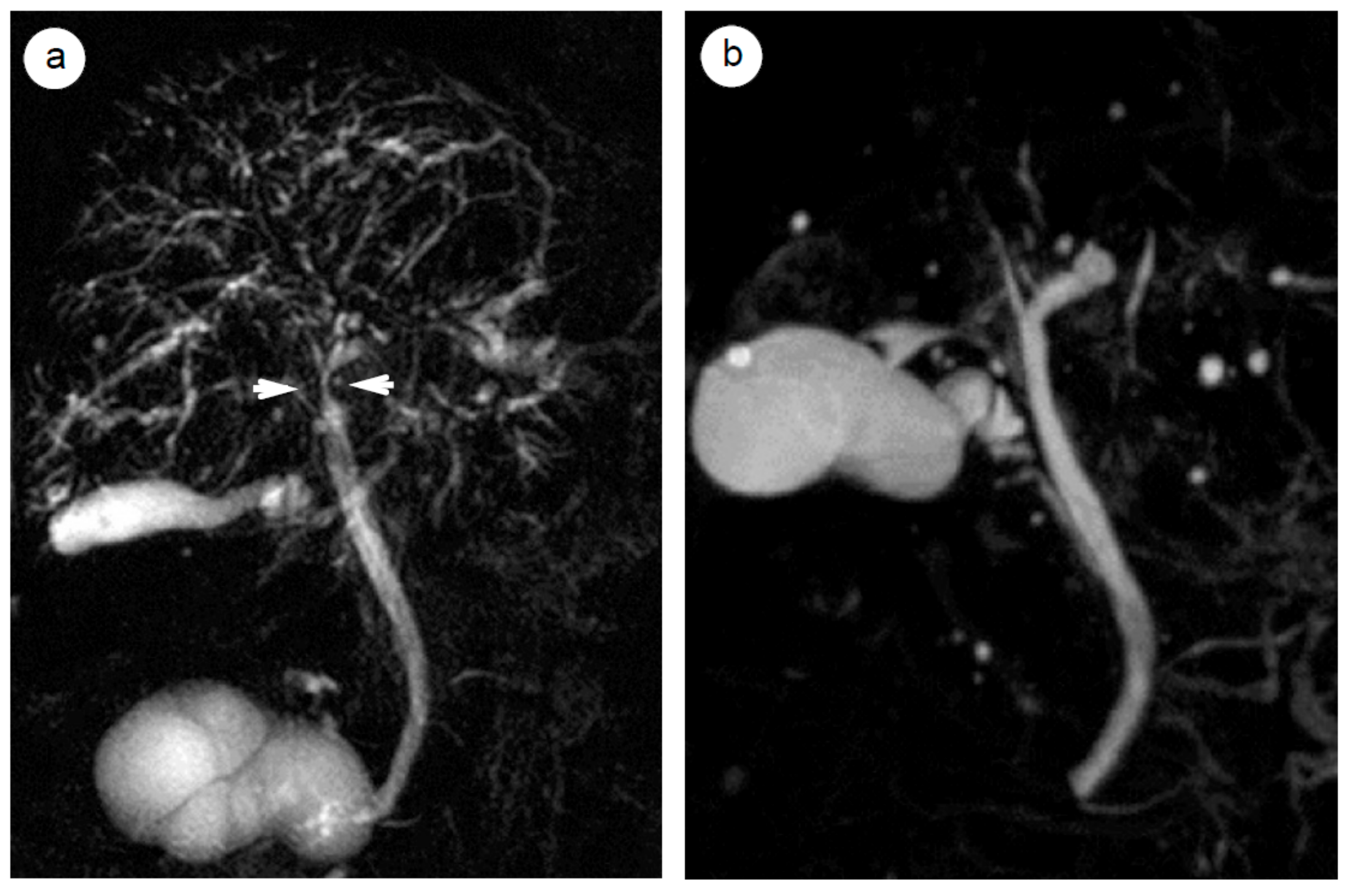 Ijms 21 00257 g003 Ijms 21 00257 g003