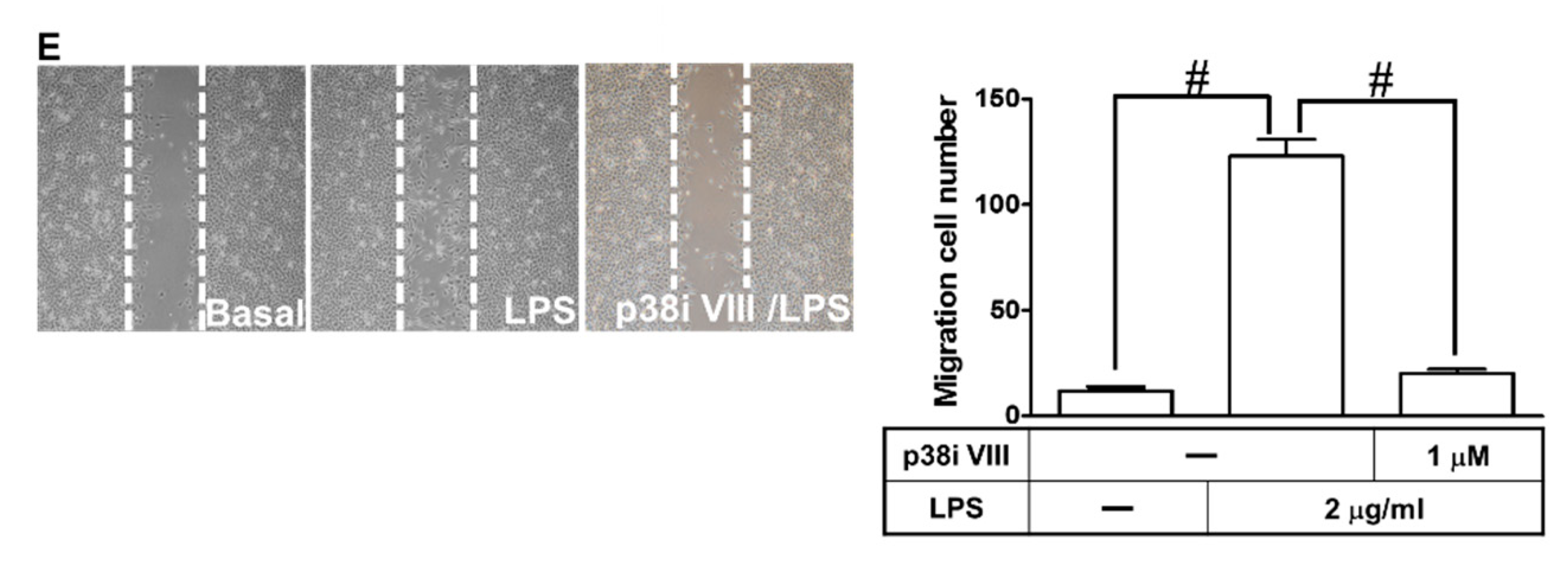 Ijms 21 00259 g007b Ijms 21 00259 g007b