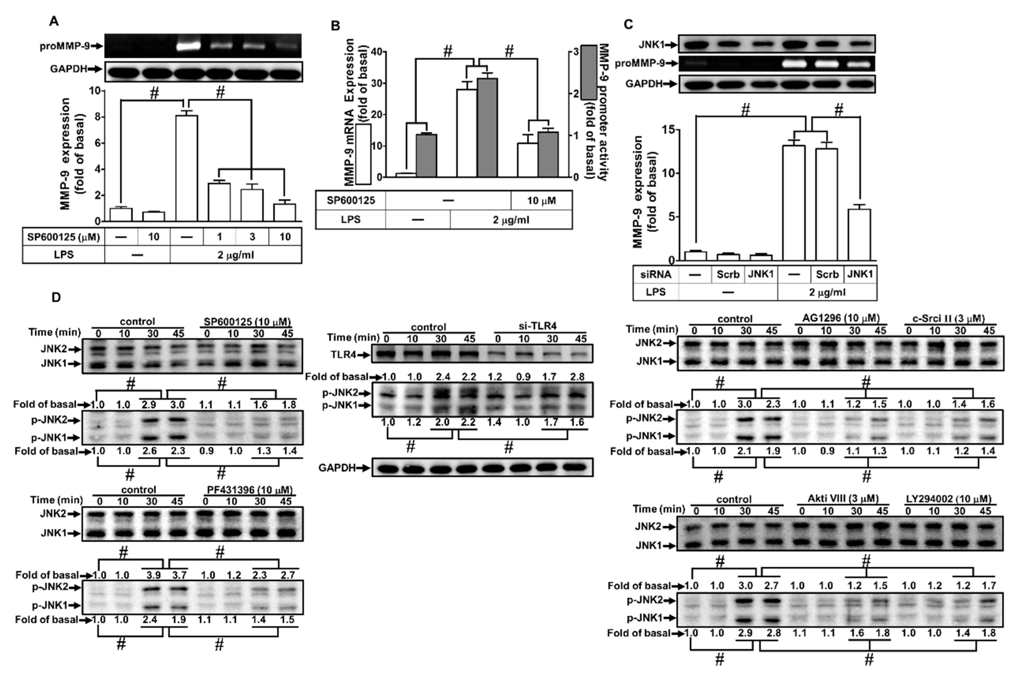 Ijms 21 00259 g008a Ijms 21 00259 g008a