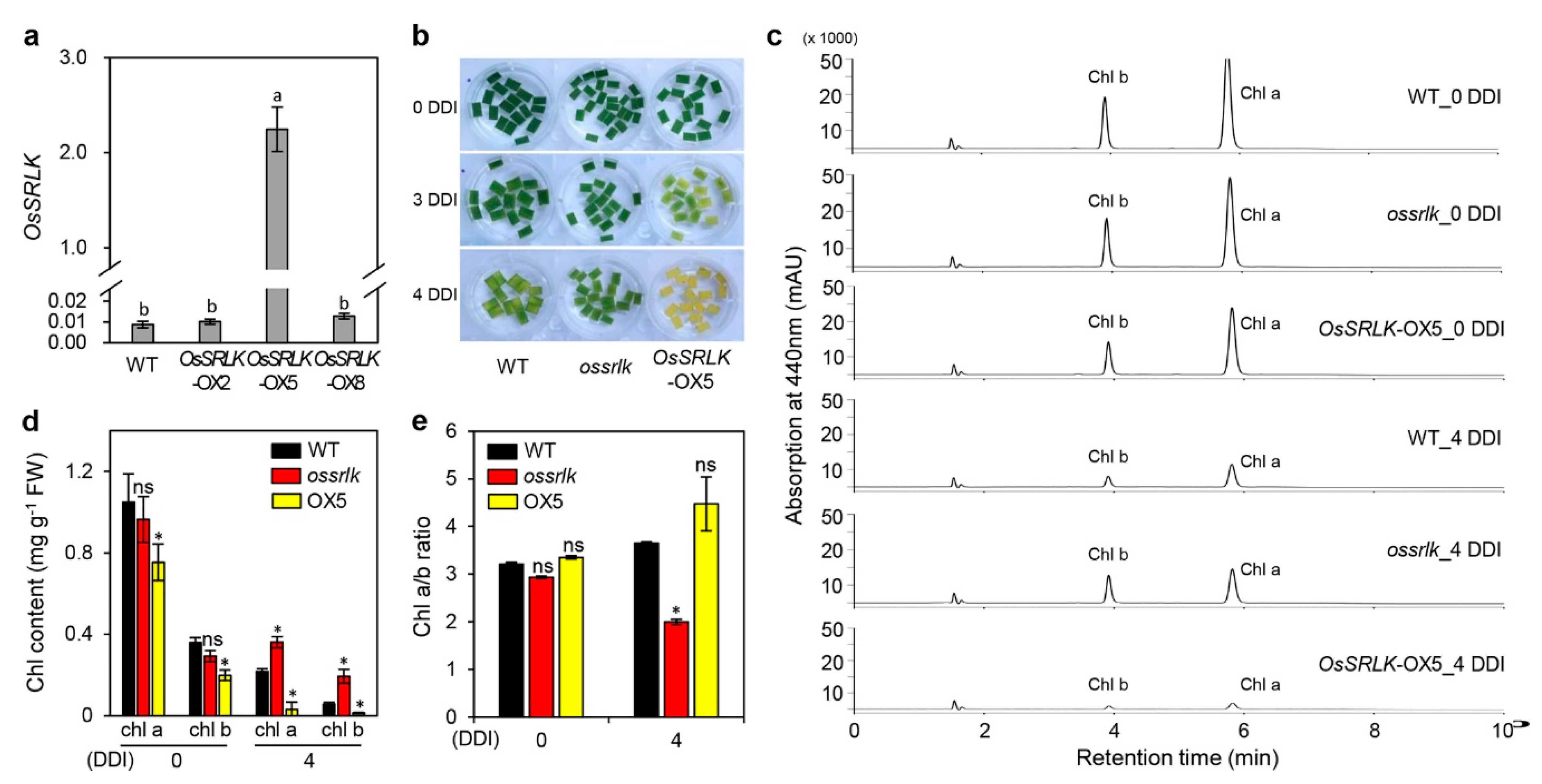 Ijms 21 00260 g003 Ijms 21 00260 g003