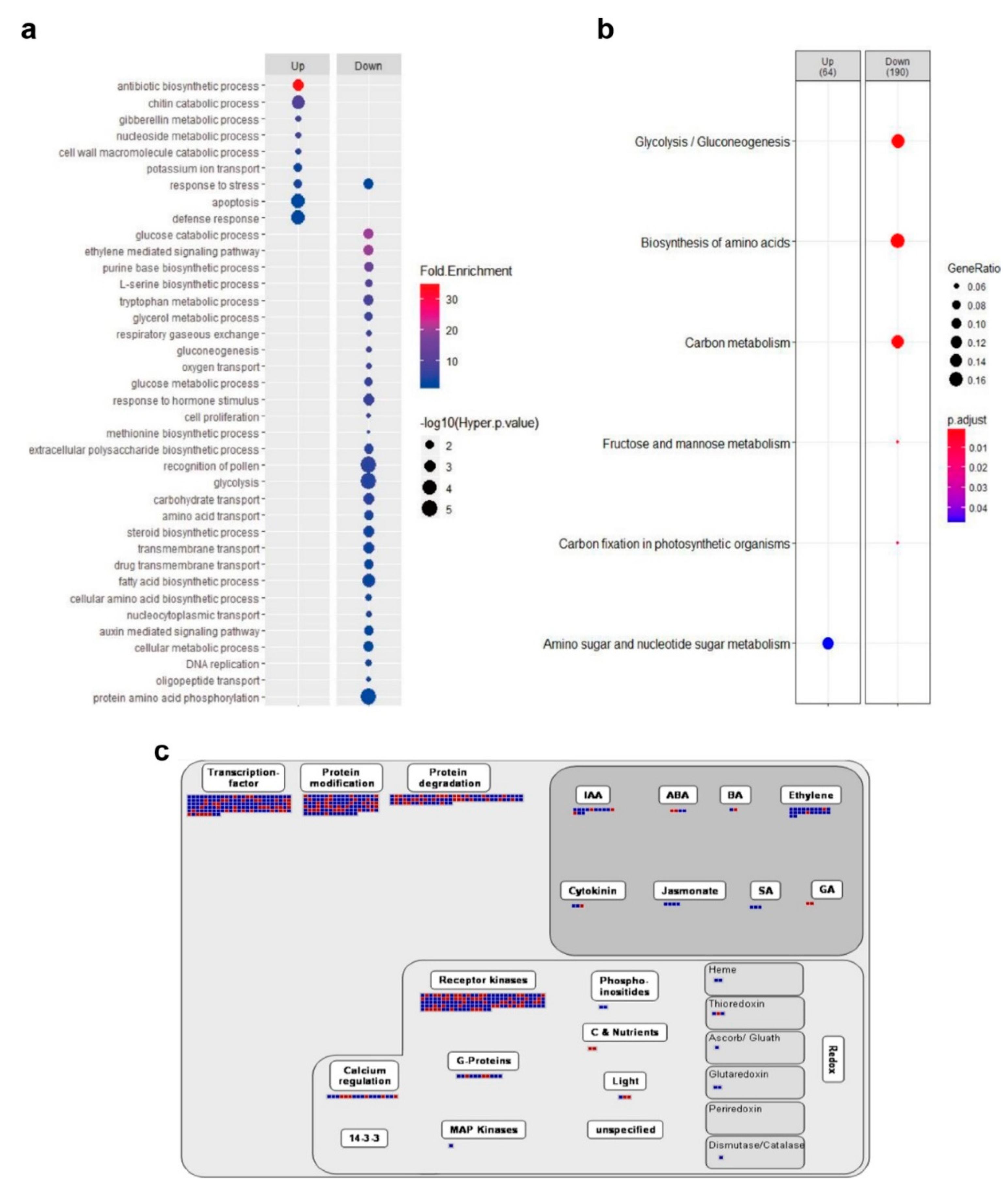 Ijms 21 00260 g004 Ijms 21 00260 g004