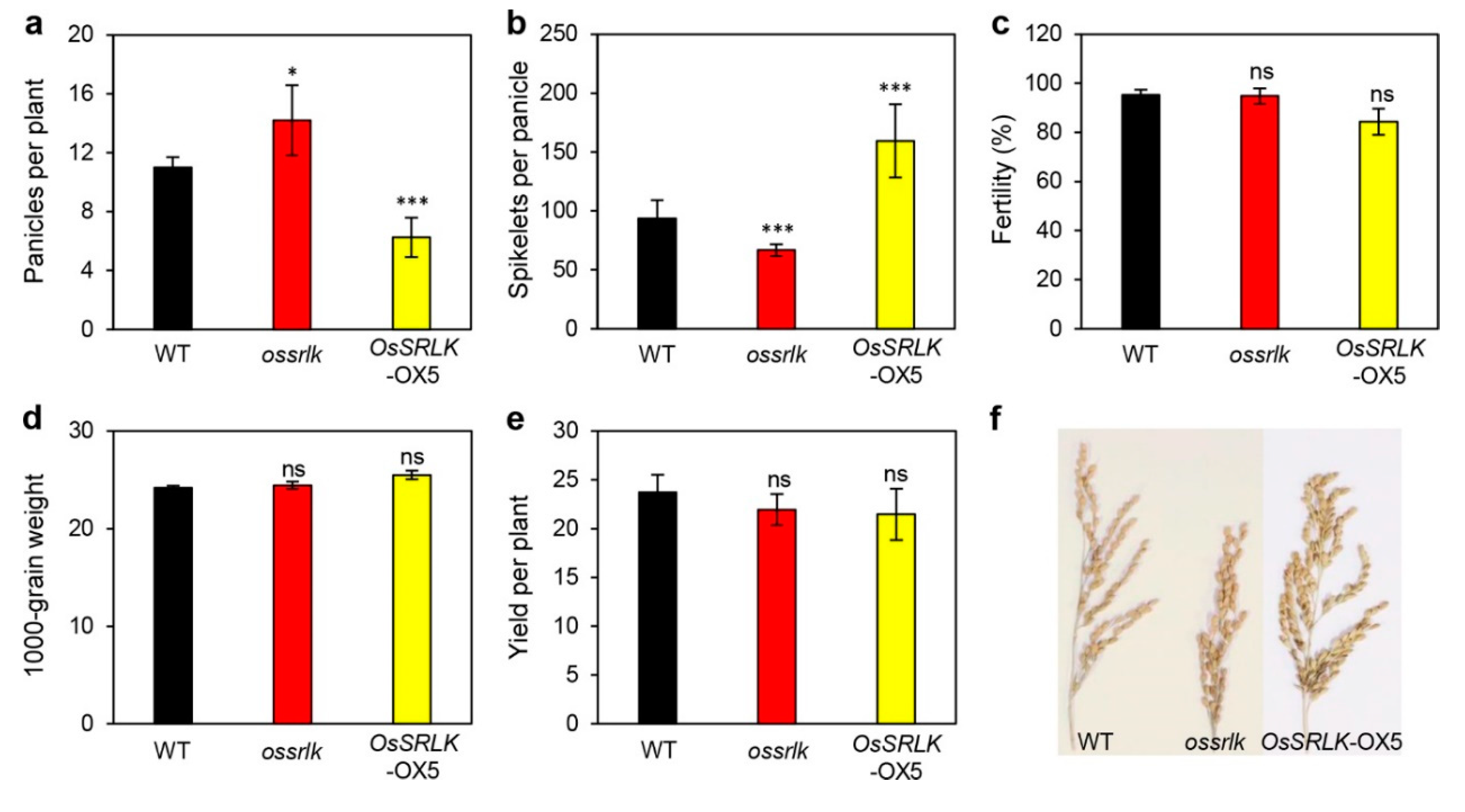 Ijms 21 00260 g005 Ijms 21 00260 g005