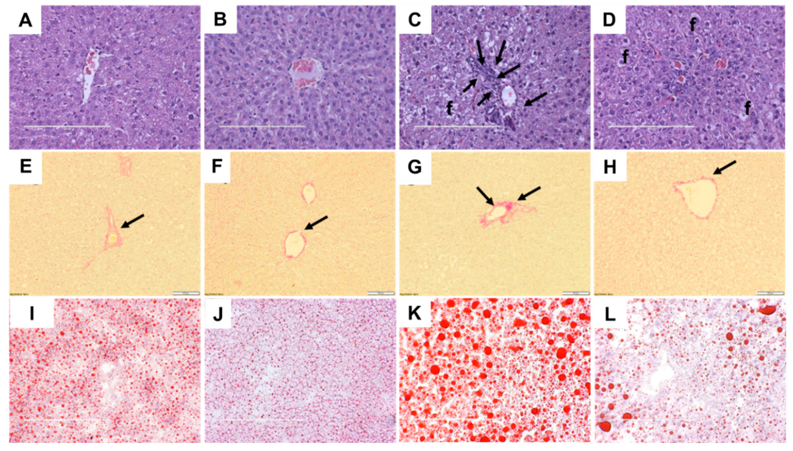 Ijms 21 00272 g004 Ijms 21 00272 g004