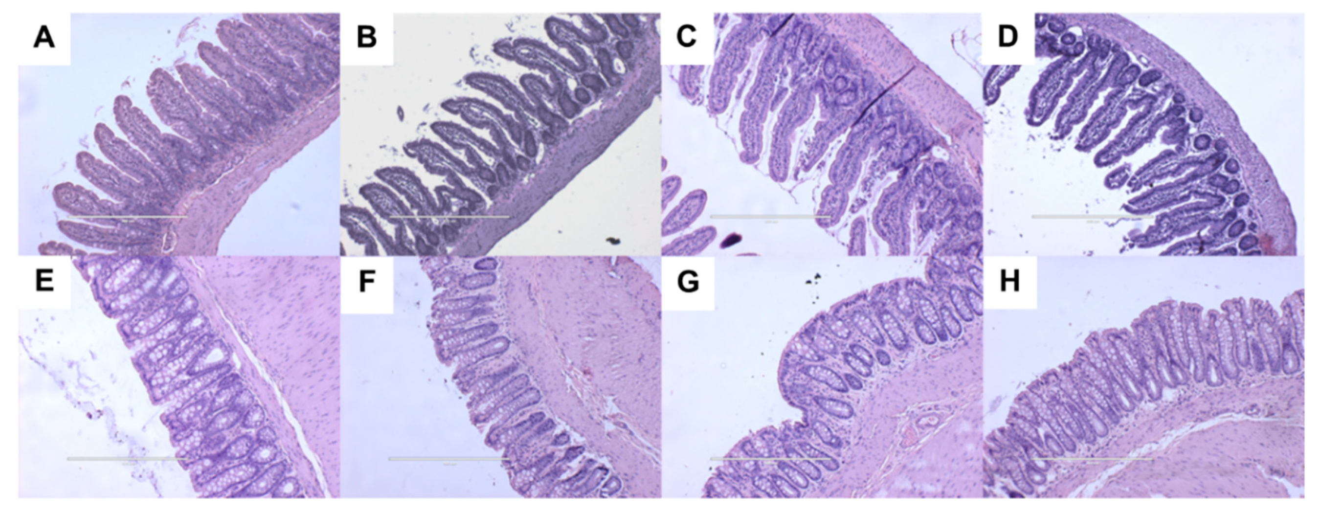 Ijms 21 00272 g005 Ijms 21 00272 g005