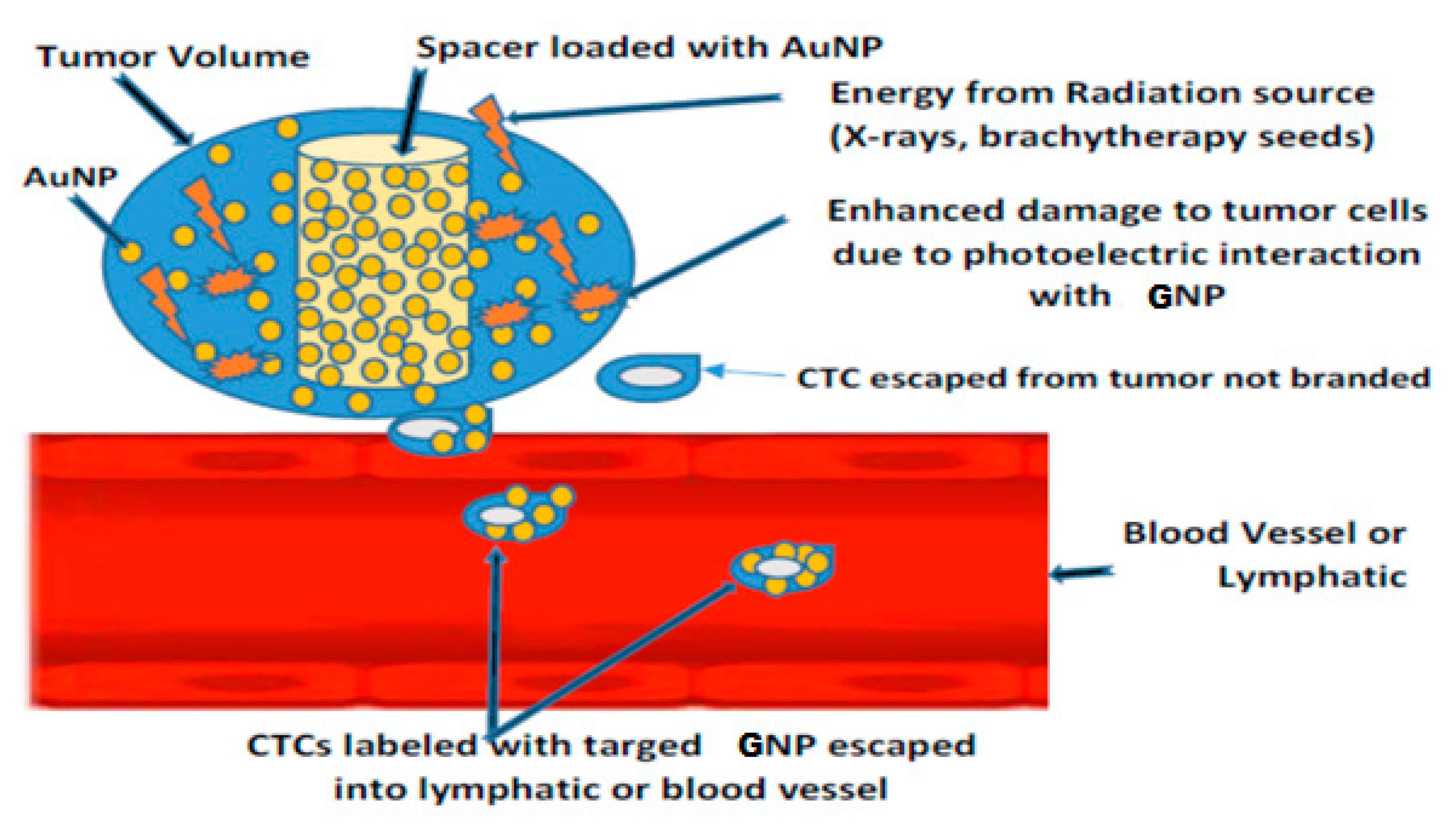 Ijms 21 00273 g008 Ijms 21 00273 g008