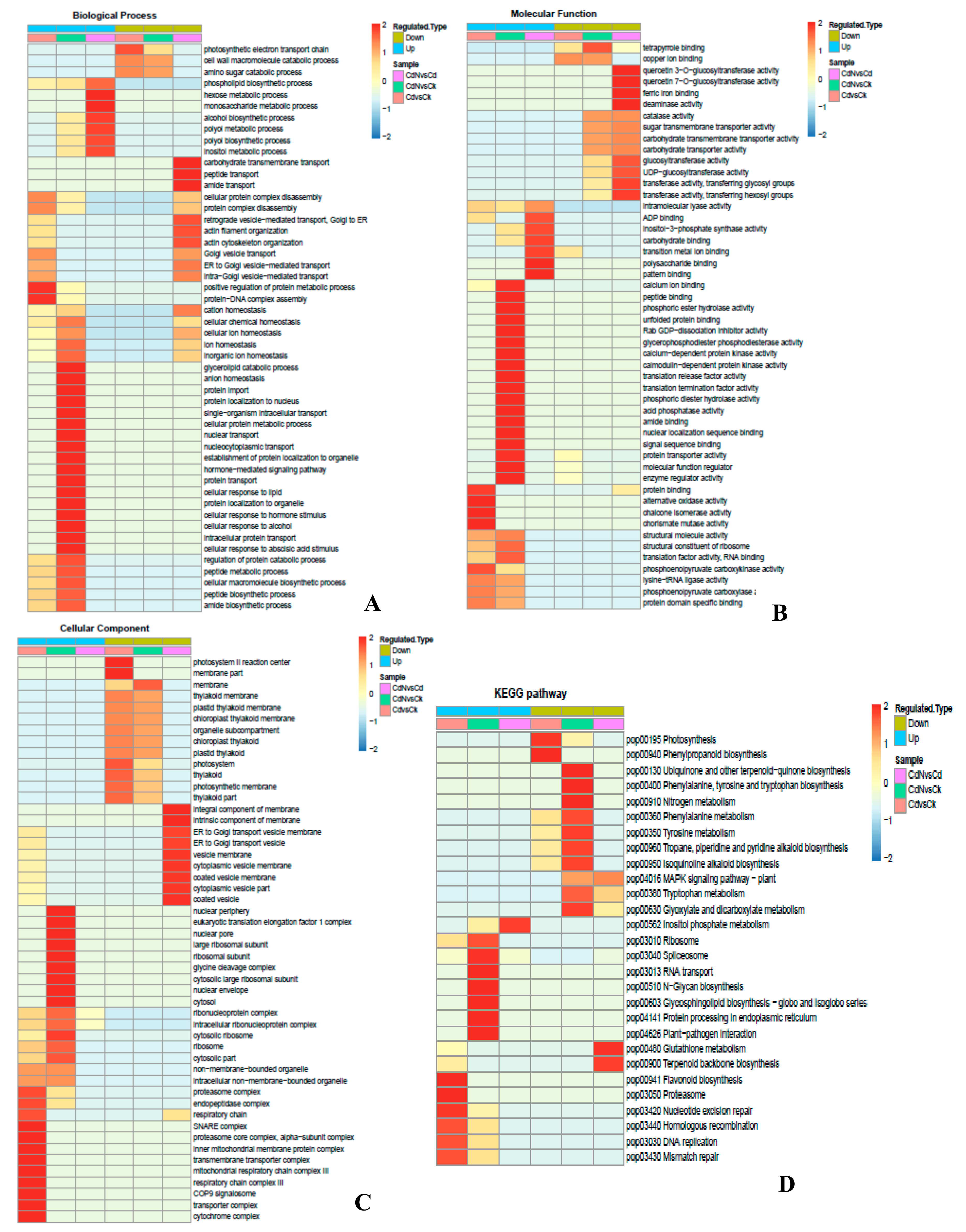 Ijms 21 00278 g002 Ijms 21 00278 g002