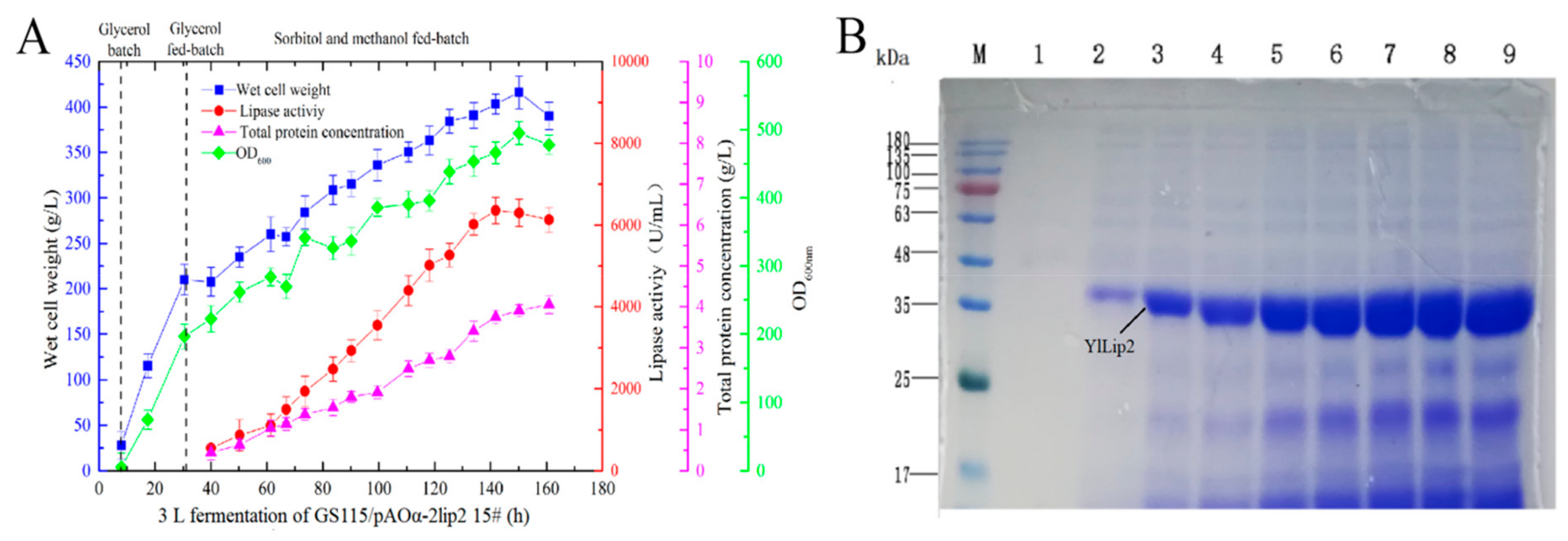 Ijms 21 00279 g003 Ijms 21 00279 g003