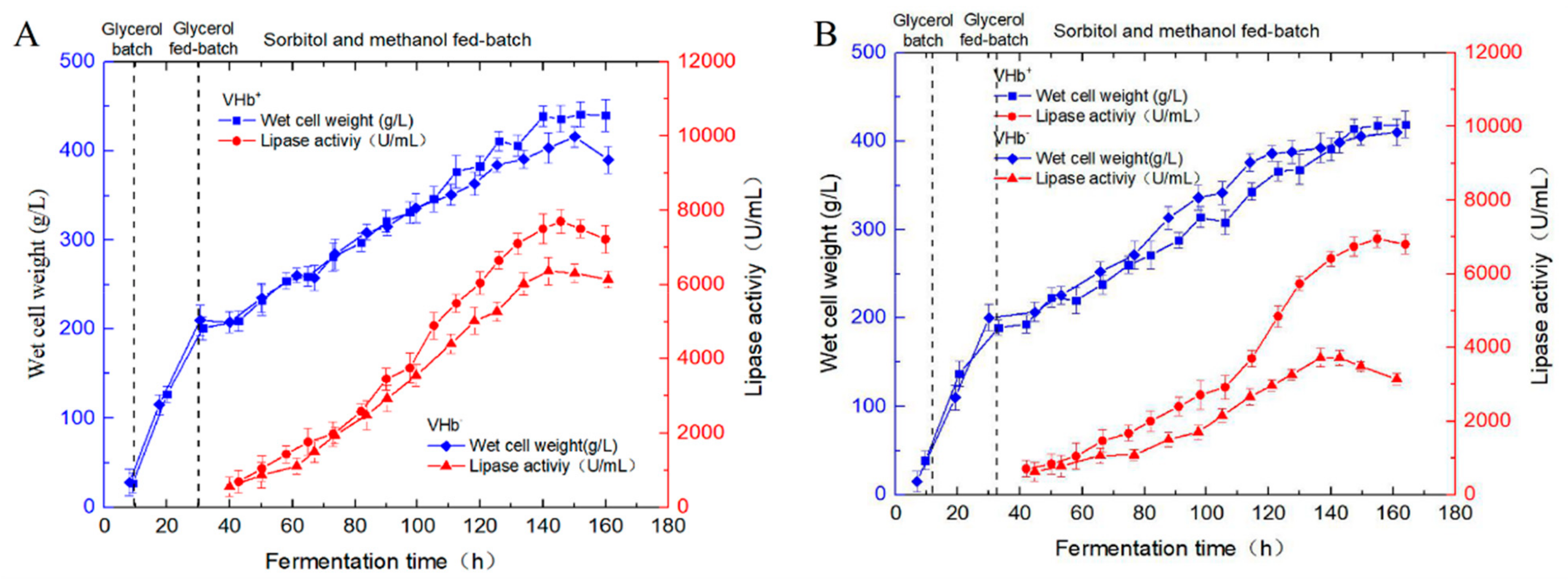Ijms 21 00279 g005 Ijms 21 00279 g005