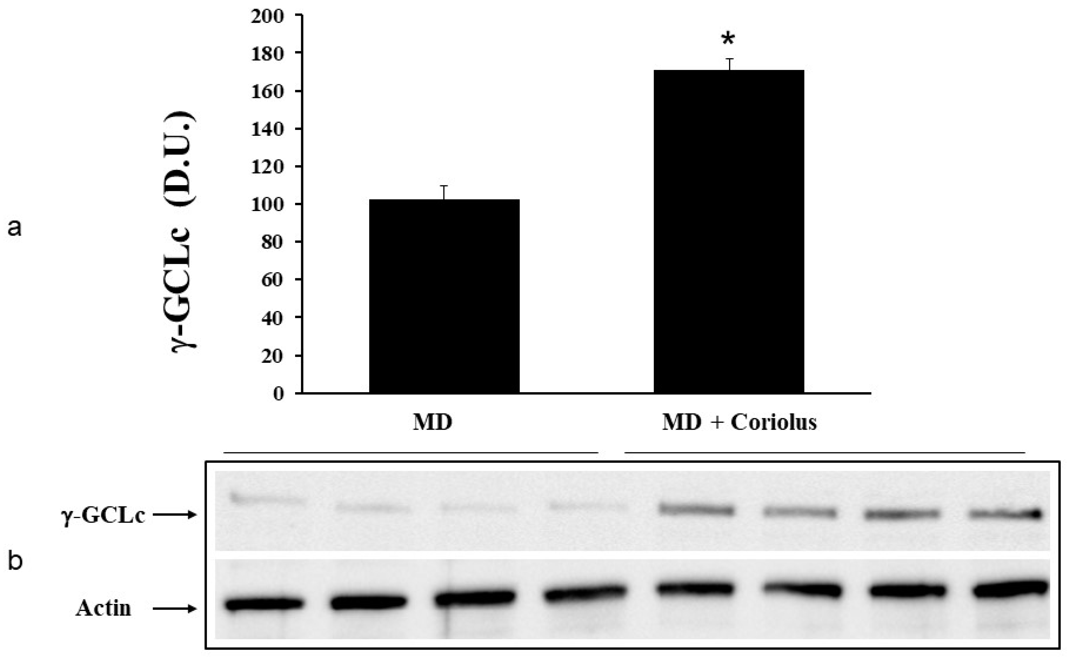 Ijms 21 00284 g006