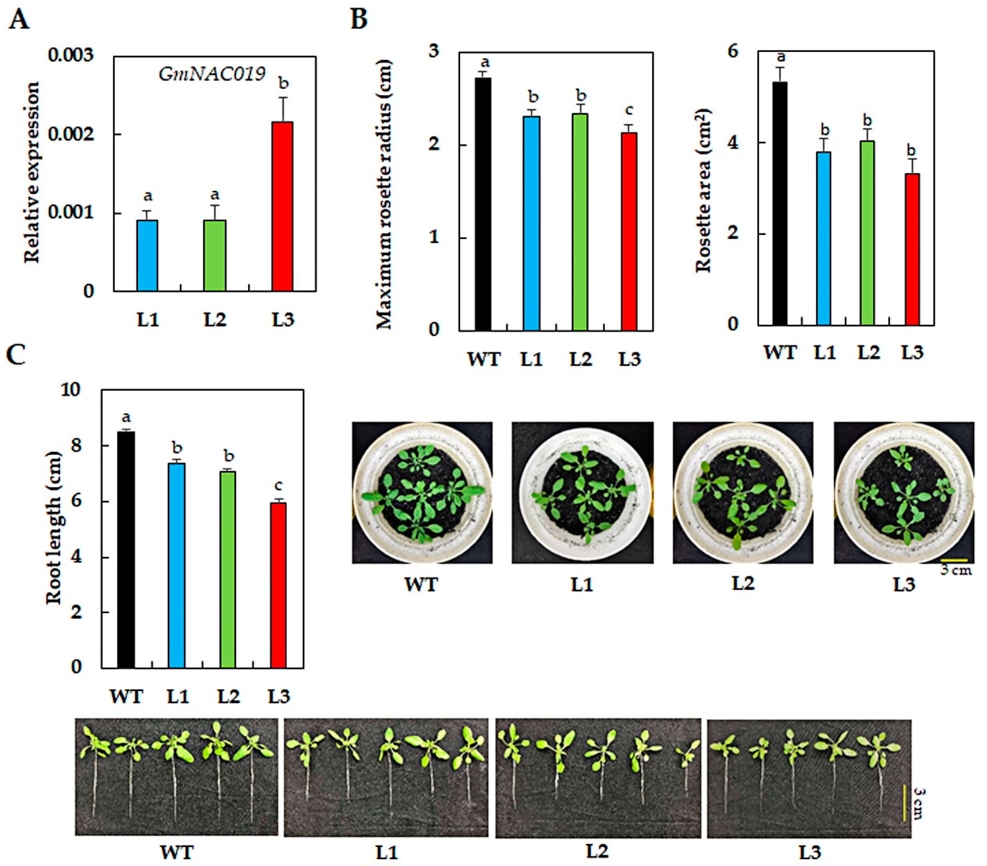 Ijms 21 00286 g001 Ijms 21 00286 g001
