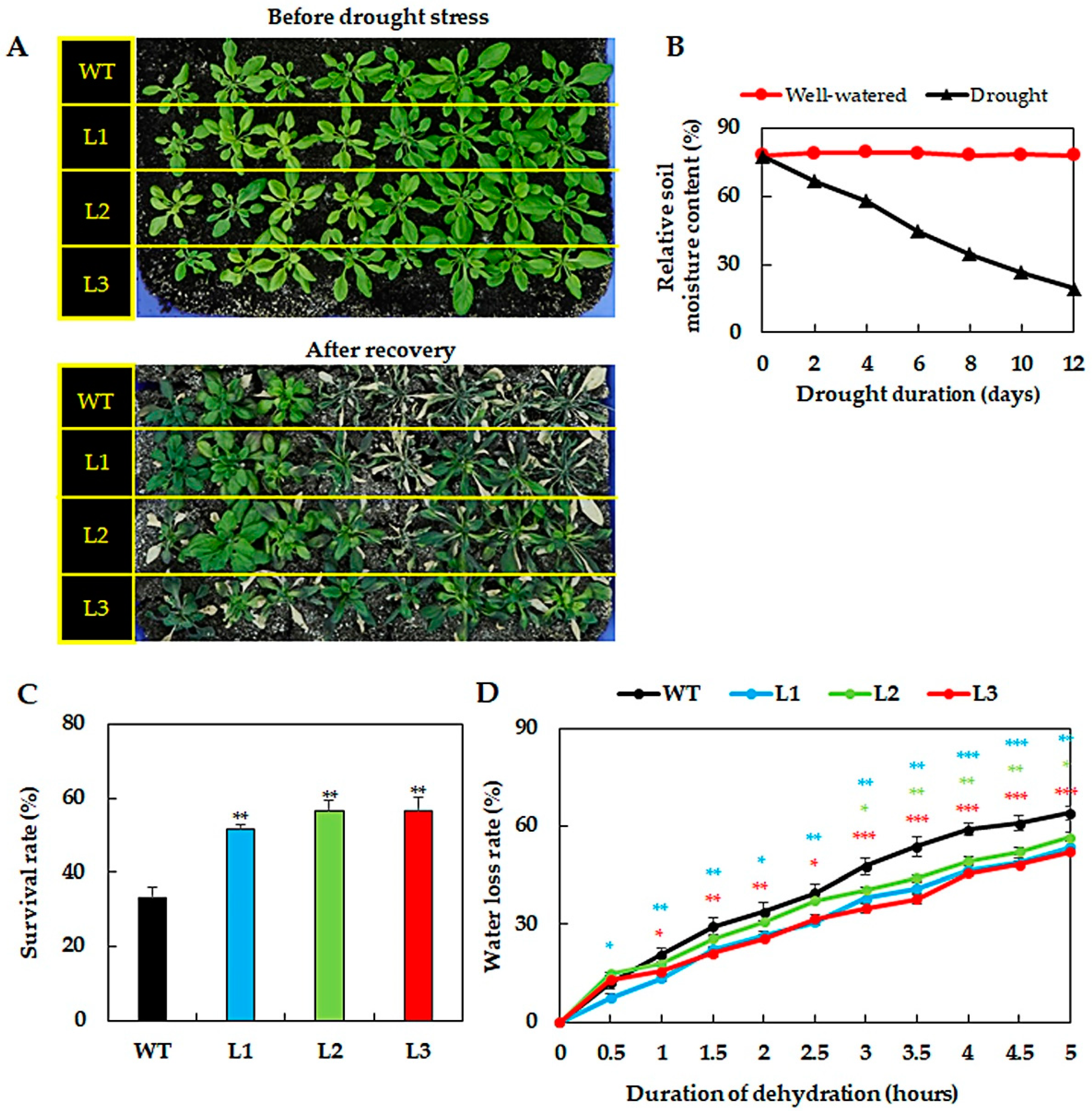 Ijms 21 00286 g002 Ijms 21 00286 g002