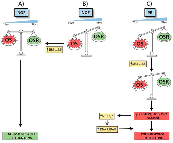 Granulosa-Lutein Cell Sirtuin Gene Expression Profiles Differ