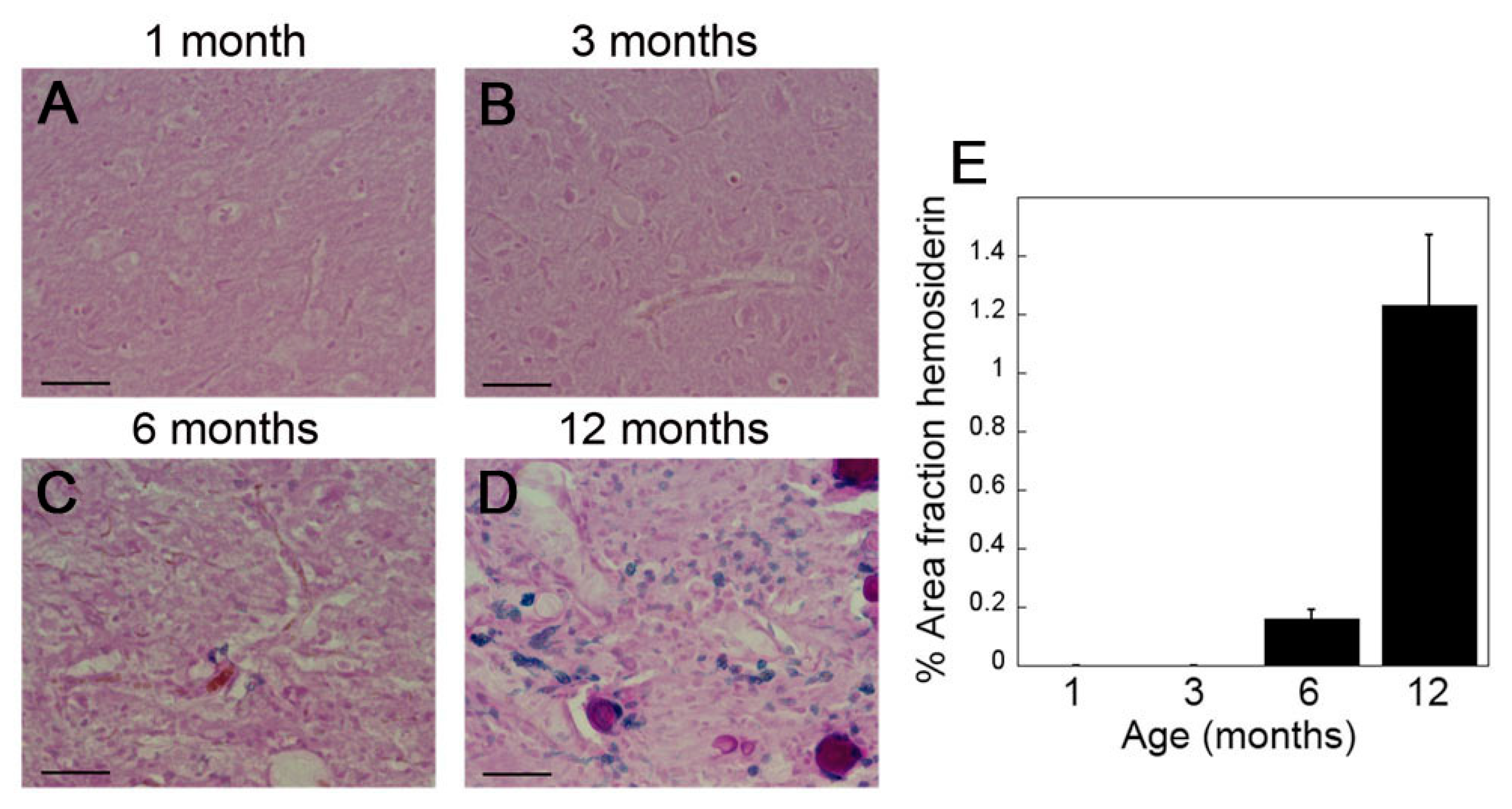 Ijms 21 00303 g004 Ijms 21 00303 g004