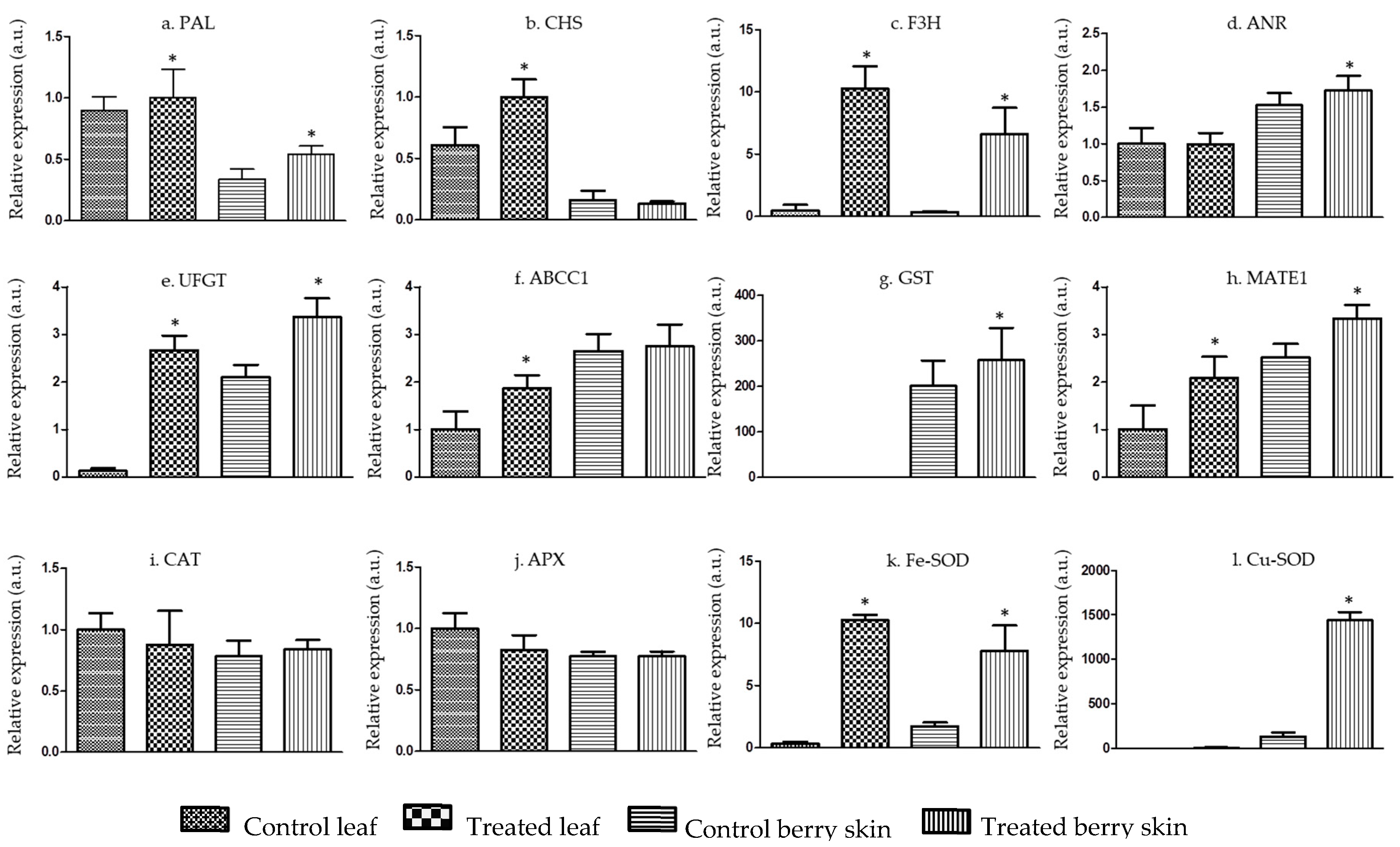 Ijms 21 00306 g002 Ijms 21 00306 g002