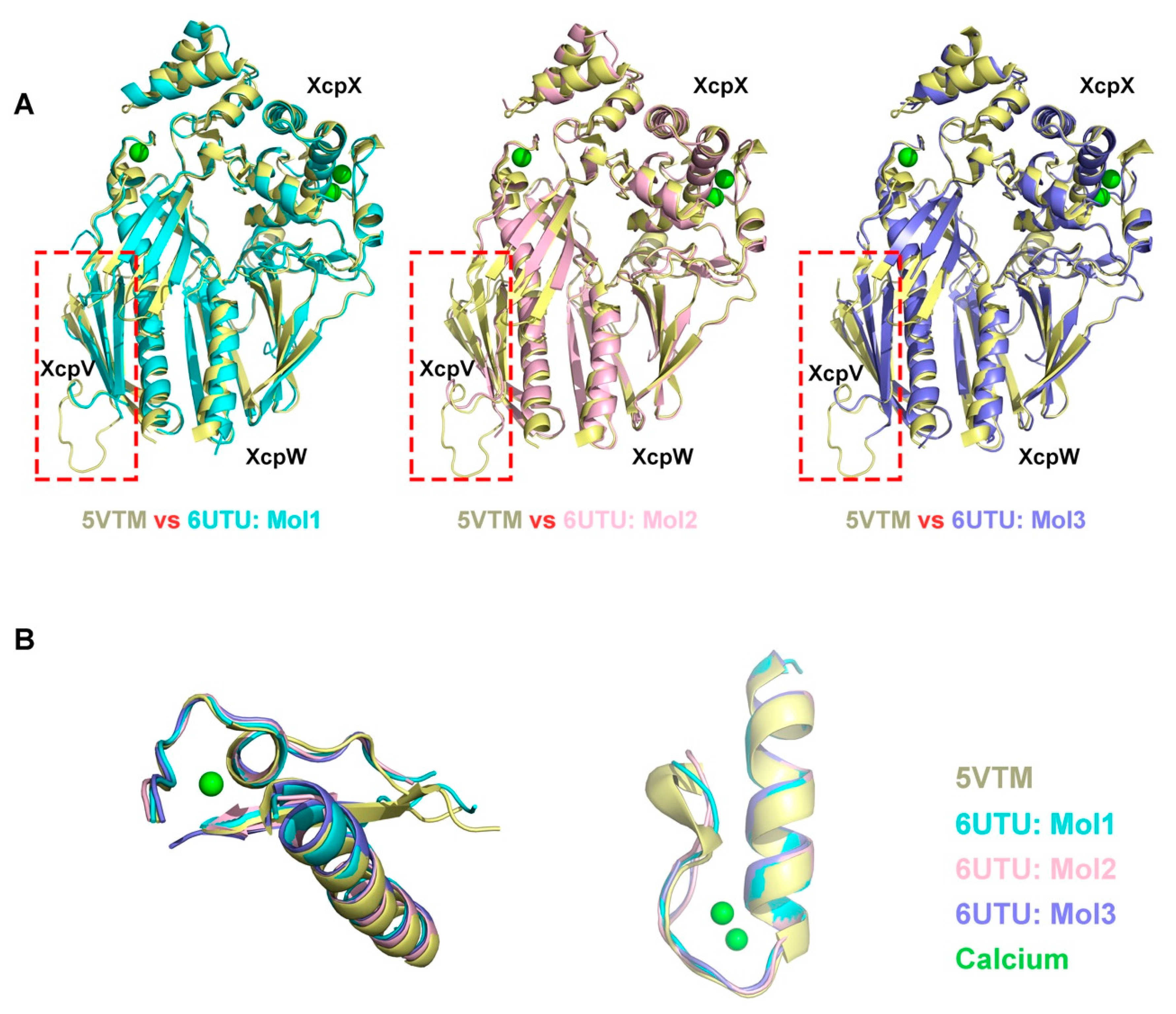 Ijms 21 00308 g004 Ijms 21 00308 g004