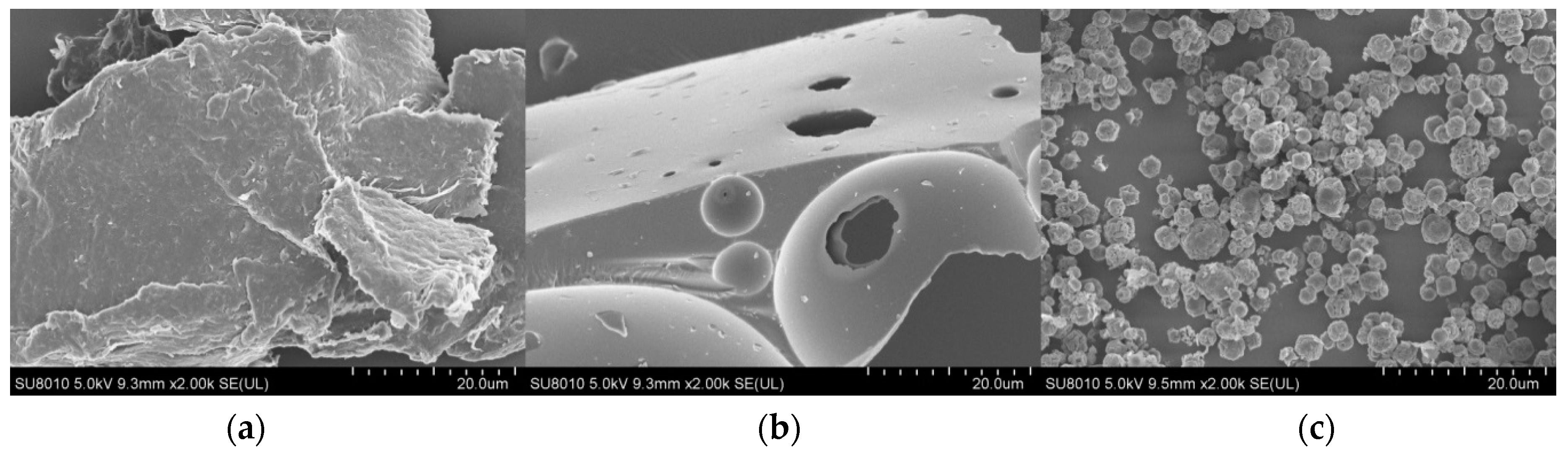 Ijms 21 00313 g001 Ijms 21 00313 g001