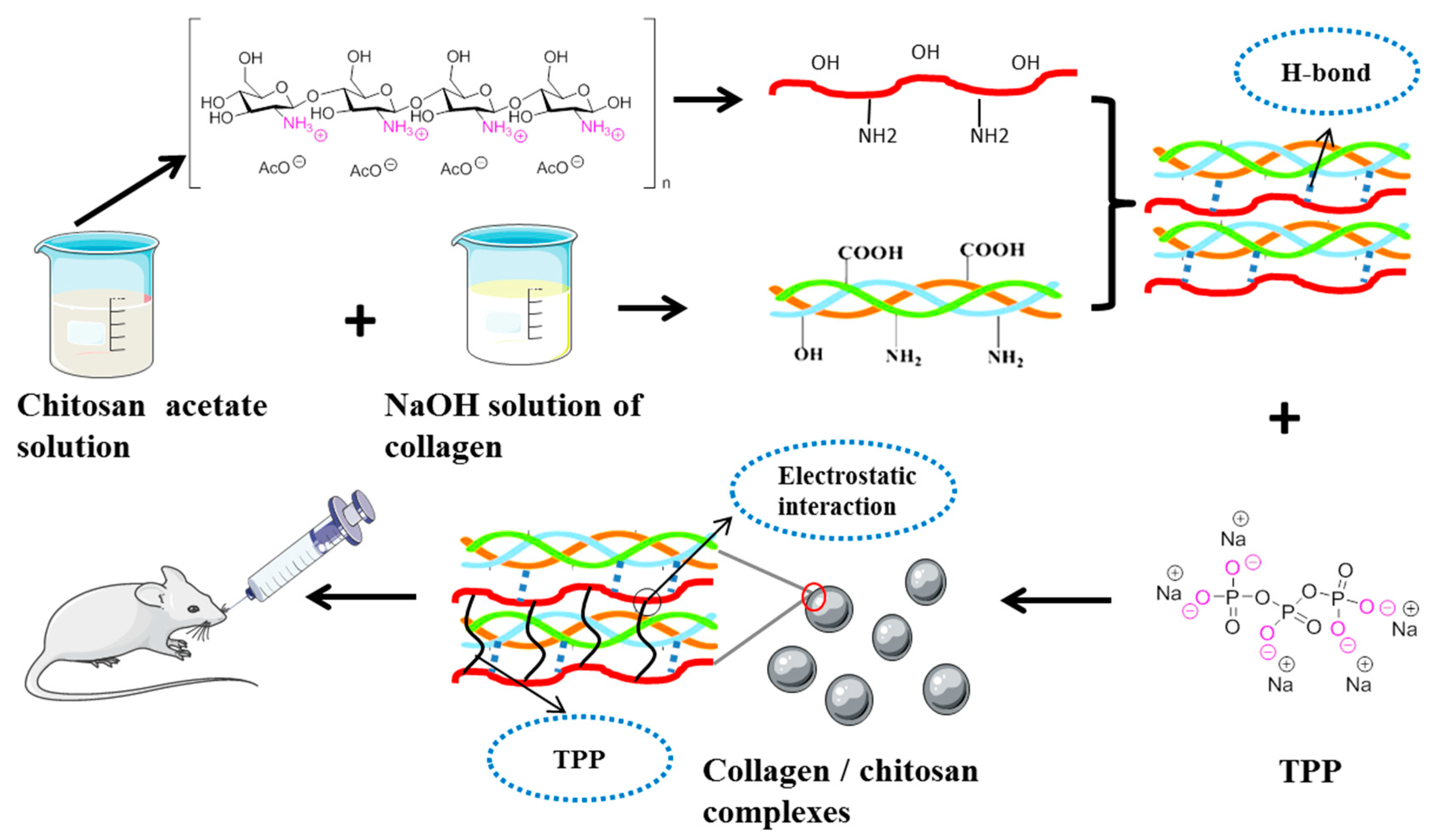 Ijms 21 00313 sch001 Ijms 21 00313 sch001