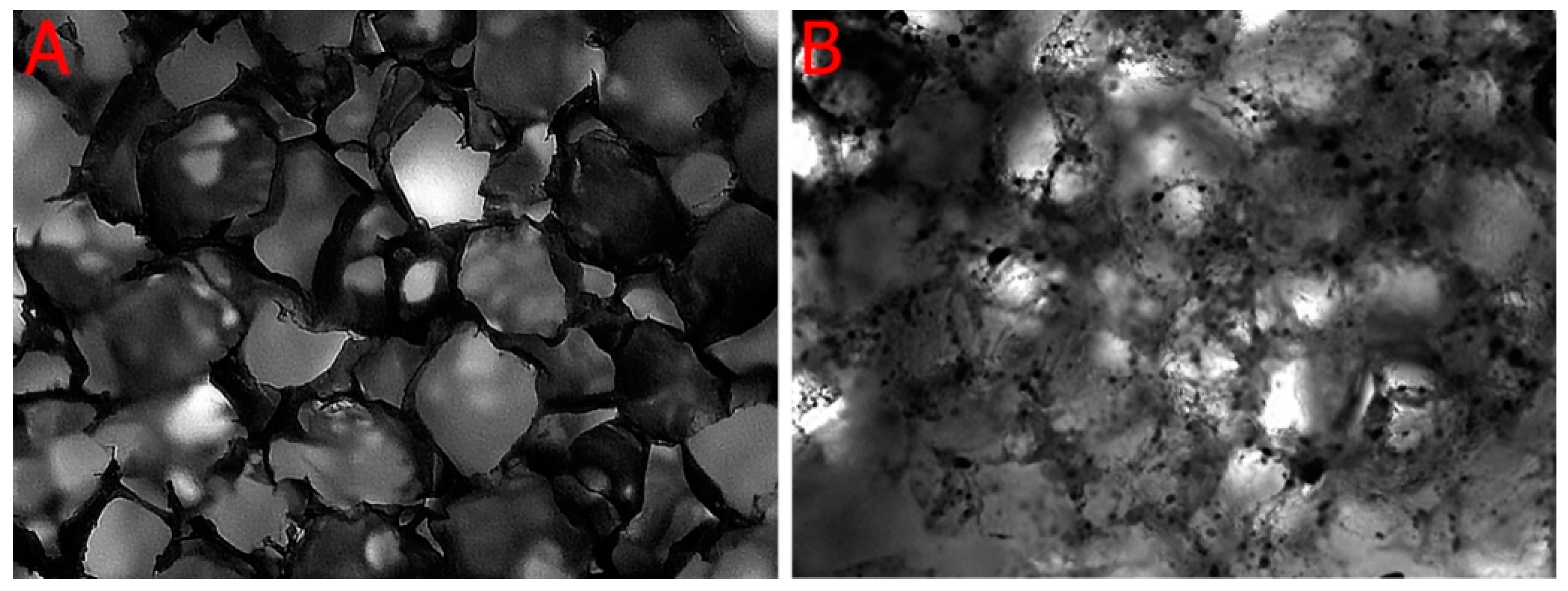 Ijms 21 00315 g003 Ijms 21 00315 g003