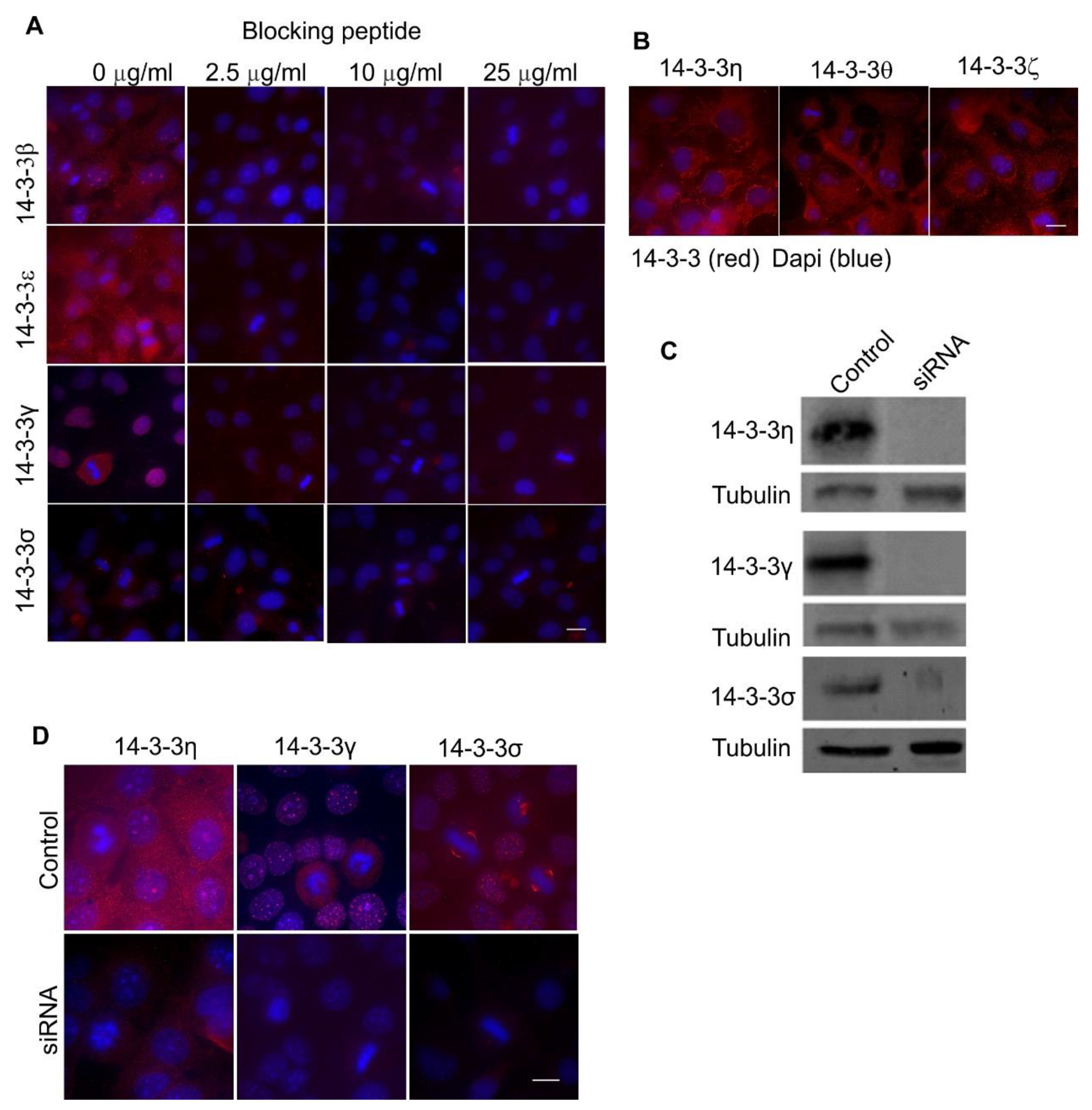 Ijms 21 00318 g002 Ijms 21 00318 g002