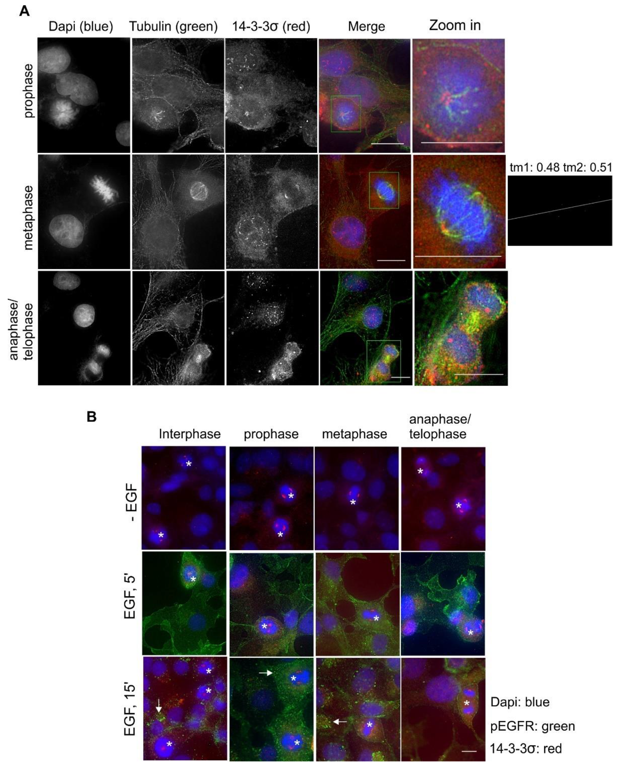 Ijms 21 00318 g008 Ijms 21 00318 g008