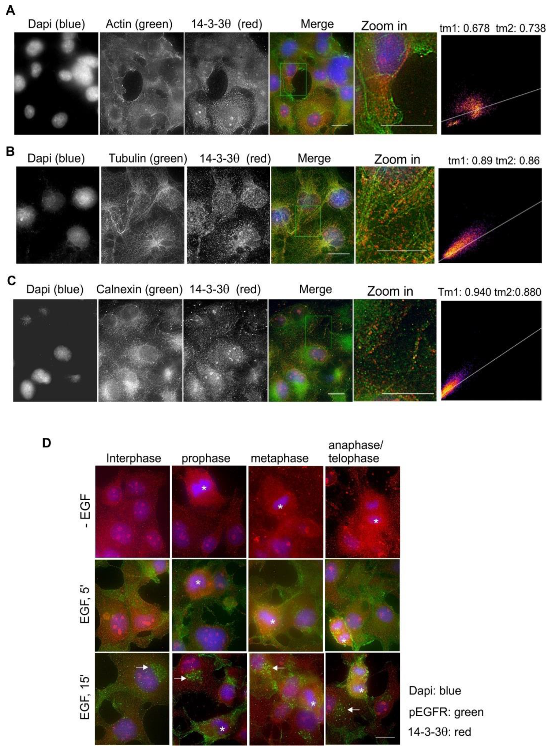 Ijms 21 00318 g009 Ijms 21 00318 g009