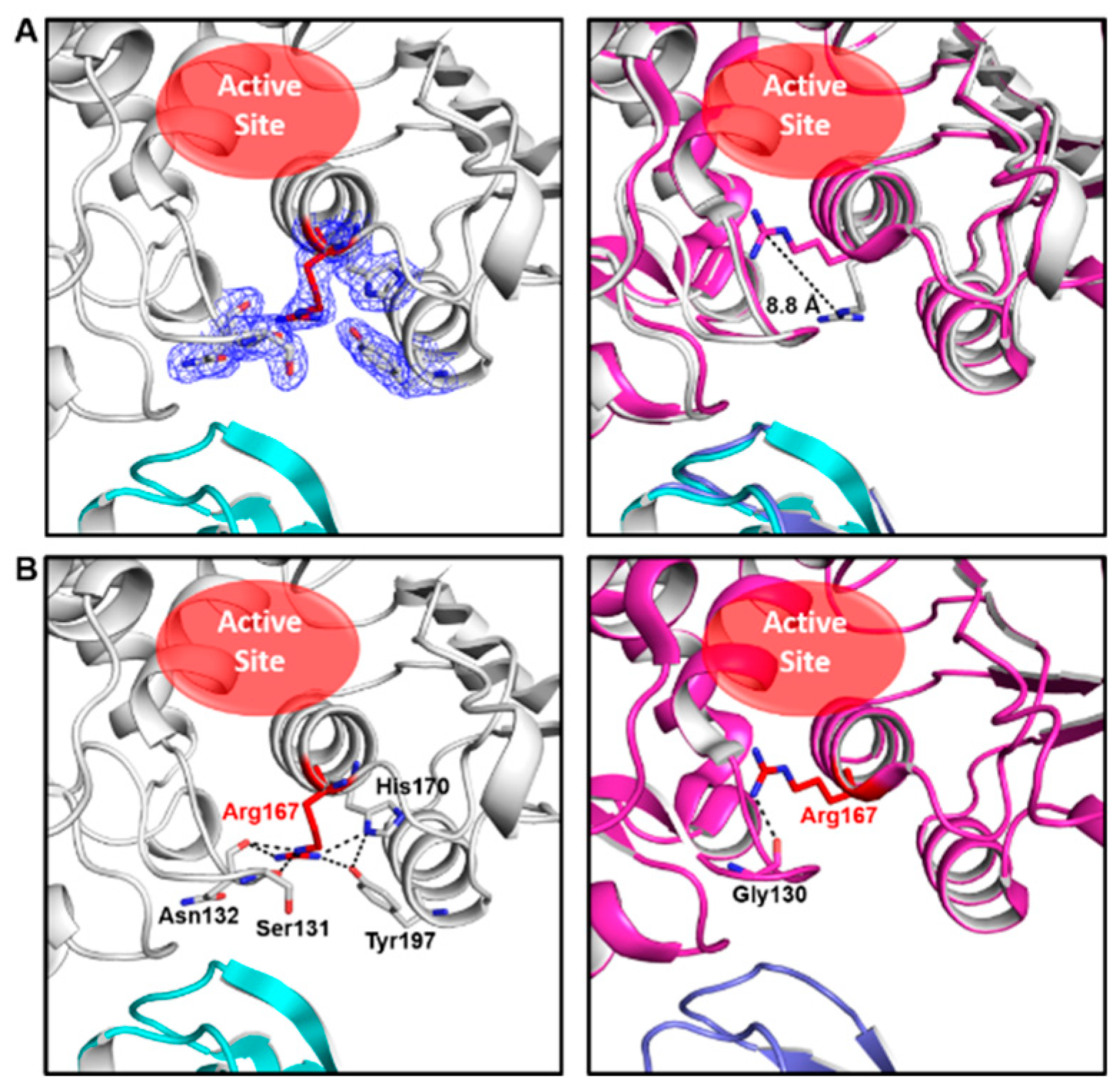 Ijms 21 00320 g001 Ijms 21 00320 g001