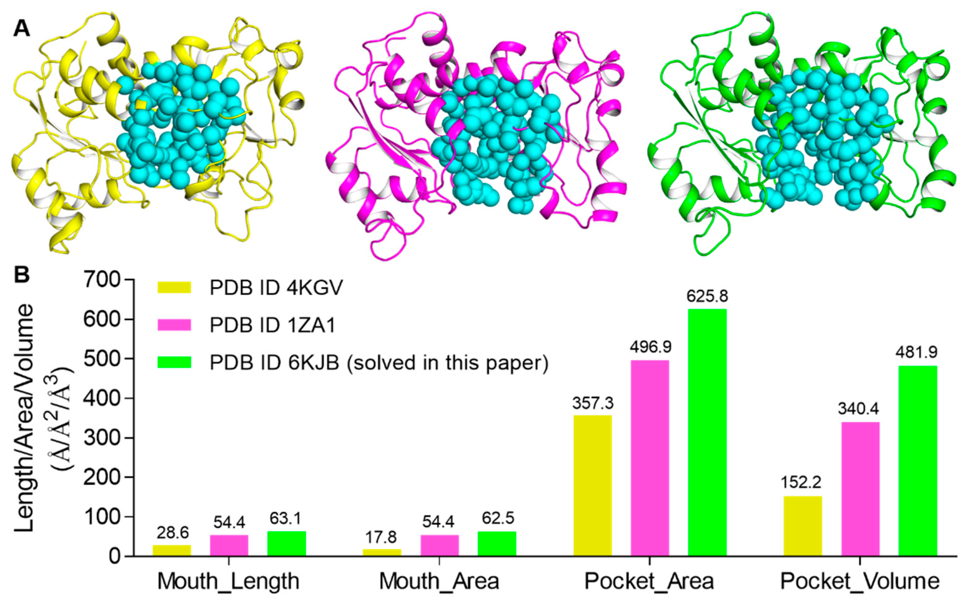 Ijms 21 00320 g005 Ijms 21 00320 g005