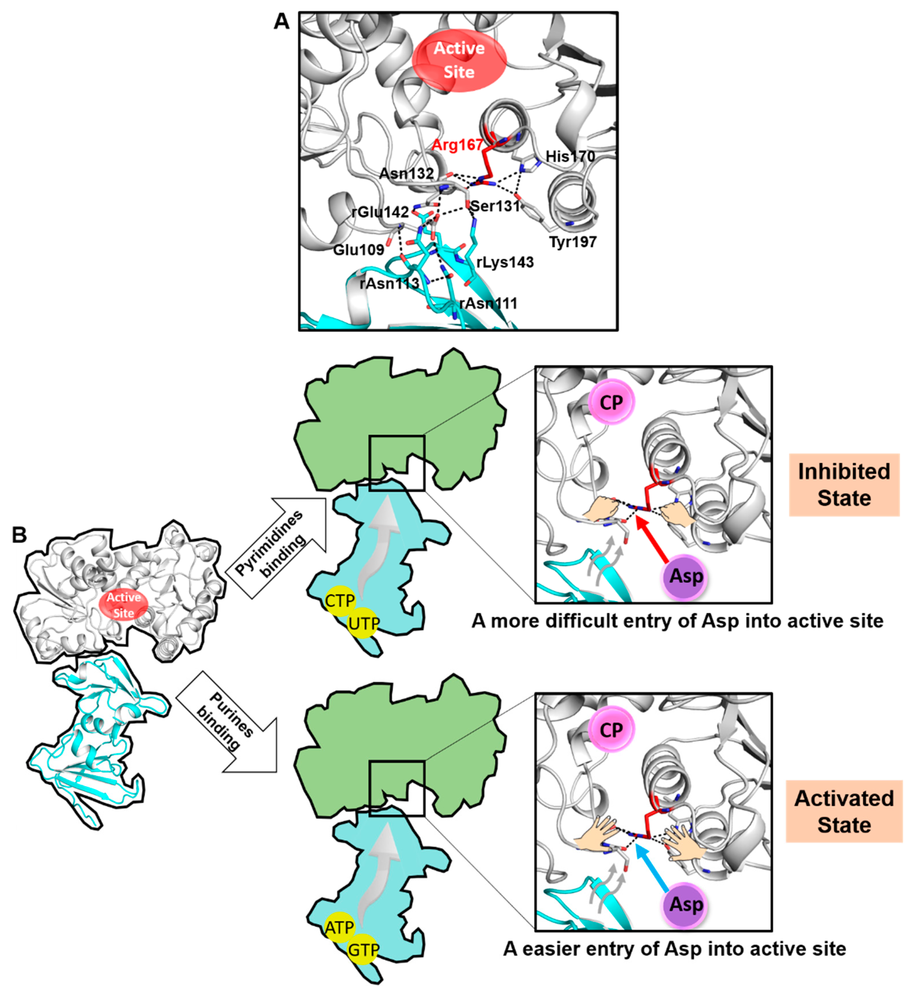 Ijms 21 00320 g006 Ijms 21 00320 g006