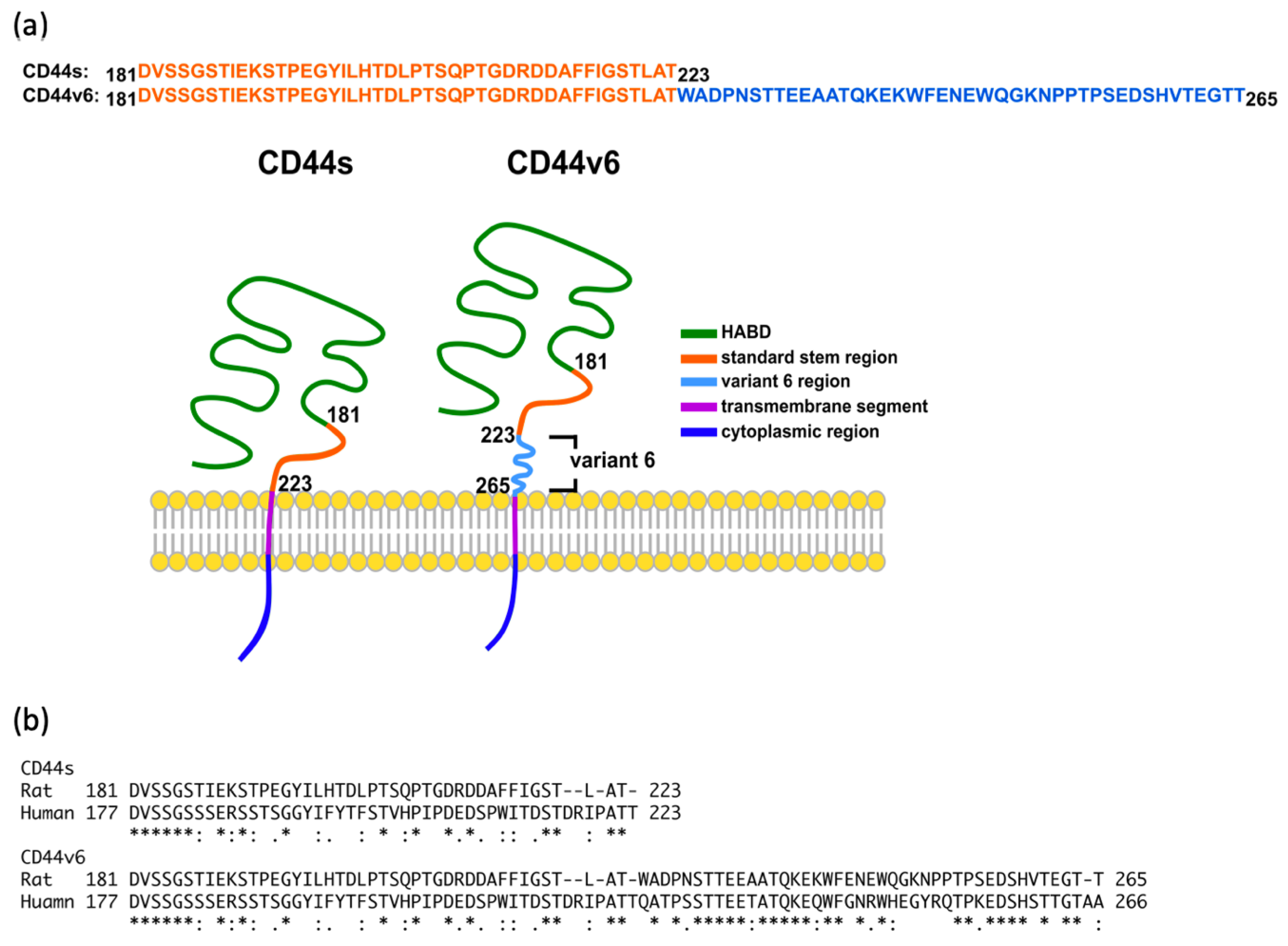 Ijms 21 00336 g001