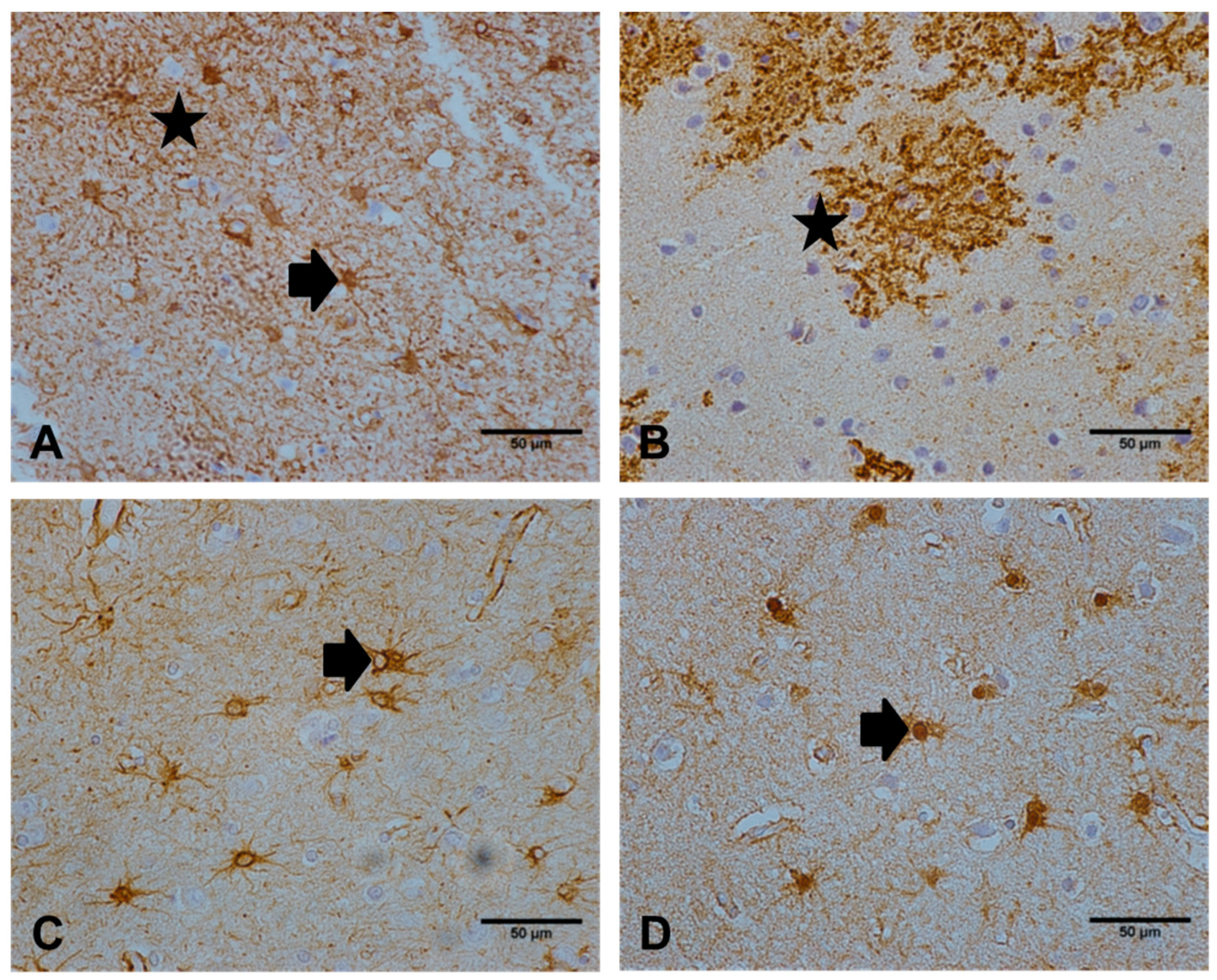 Ijms 21 00340 g001 Ijms 21 00340 g001