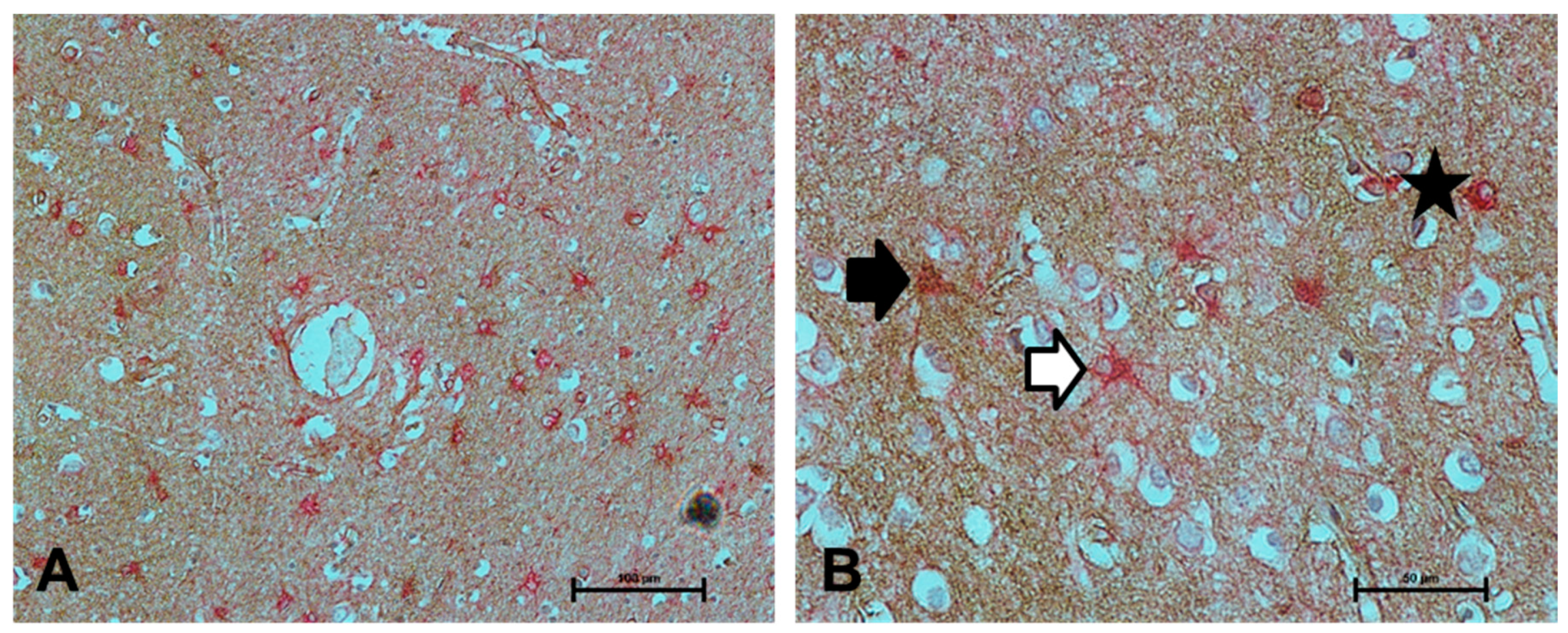 Ijms 21 00340 g002 Ijms 21 00340 g002